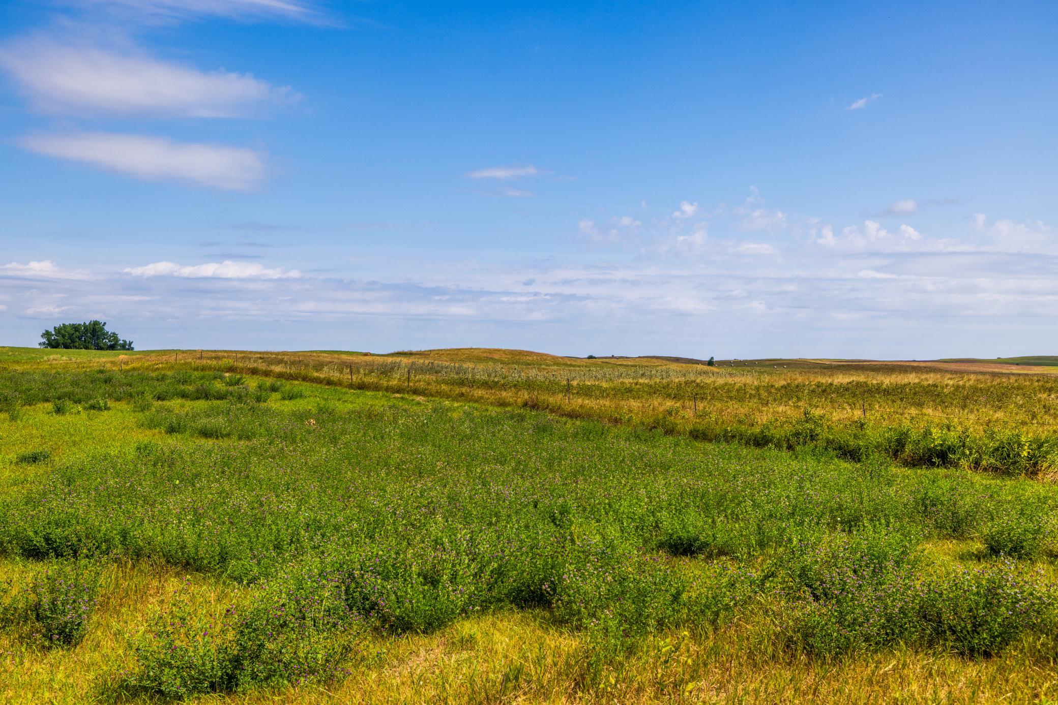 land for sale at TBD 20 Ave SE Lot 2 in Goodrich, ND (photo 43 of 68)