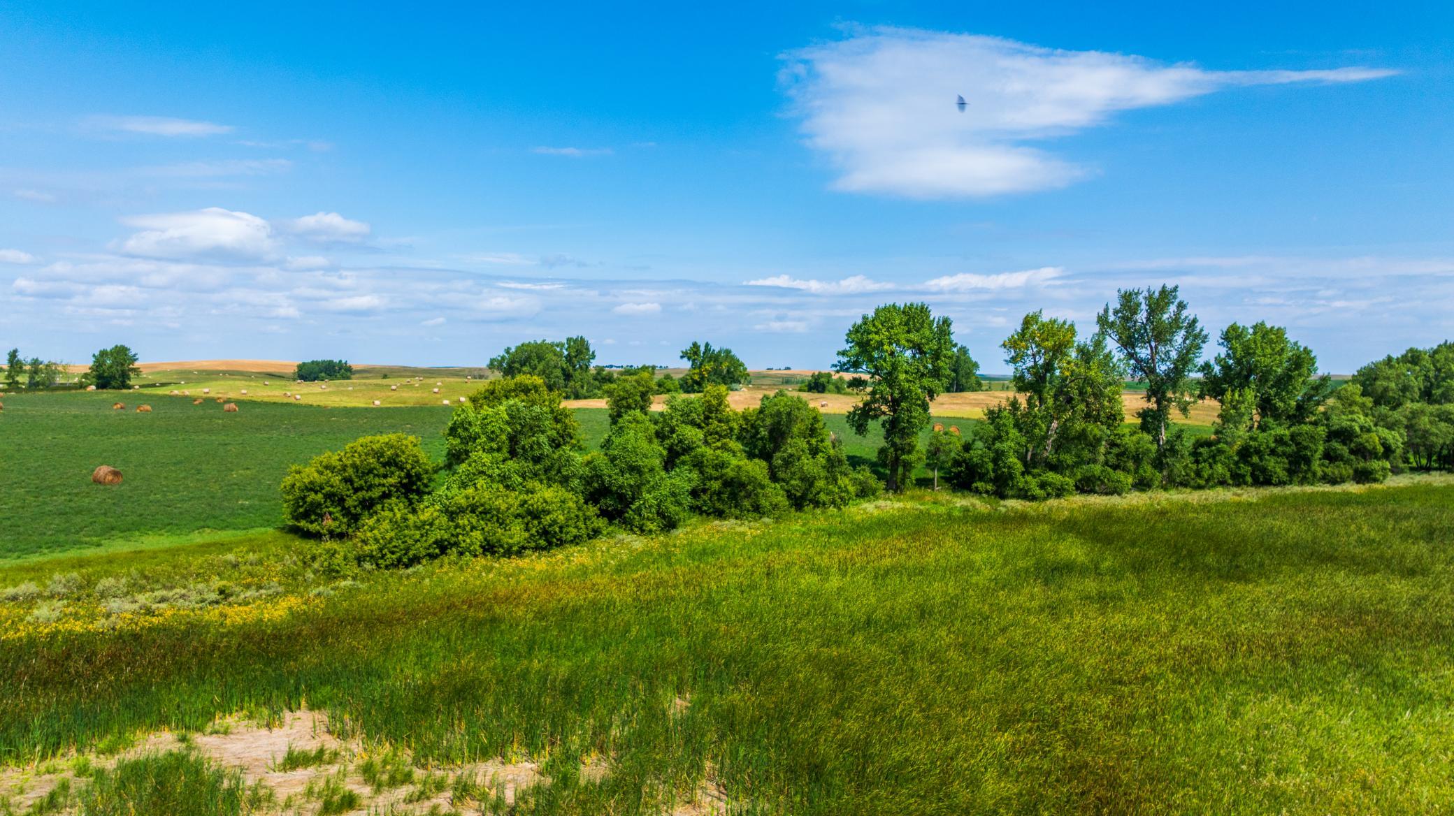 land for sale at TBD 20 Ave SE Lot 2 in Goodrich, ND (photo 46 of 68)