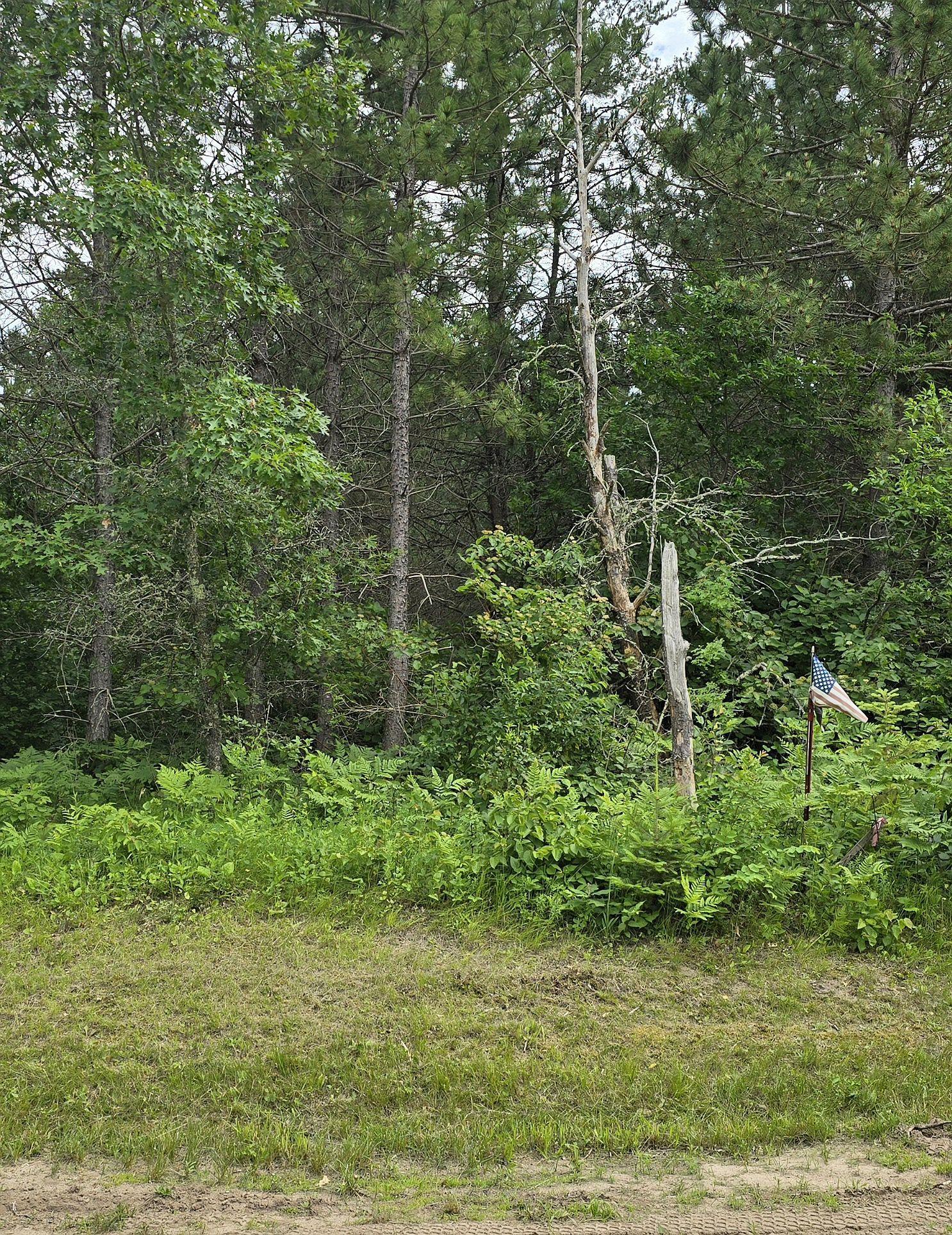 land for sale at 30945 Vahalla Lane in Cass Lake, MN (photo 5 of 8)