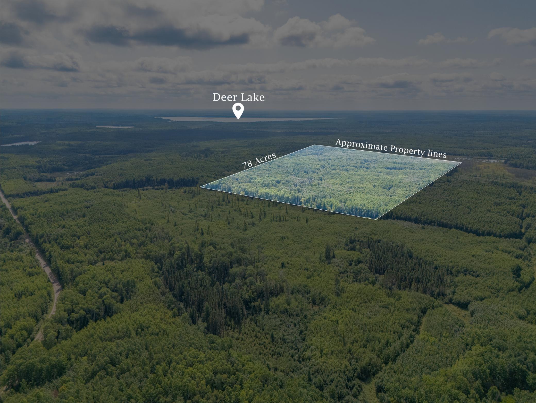 land for sale at TBD County Rd 523 in Effie, MN (photo 2 of 6)