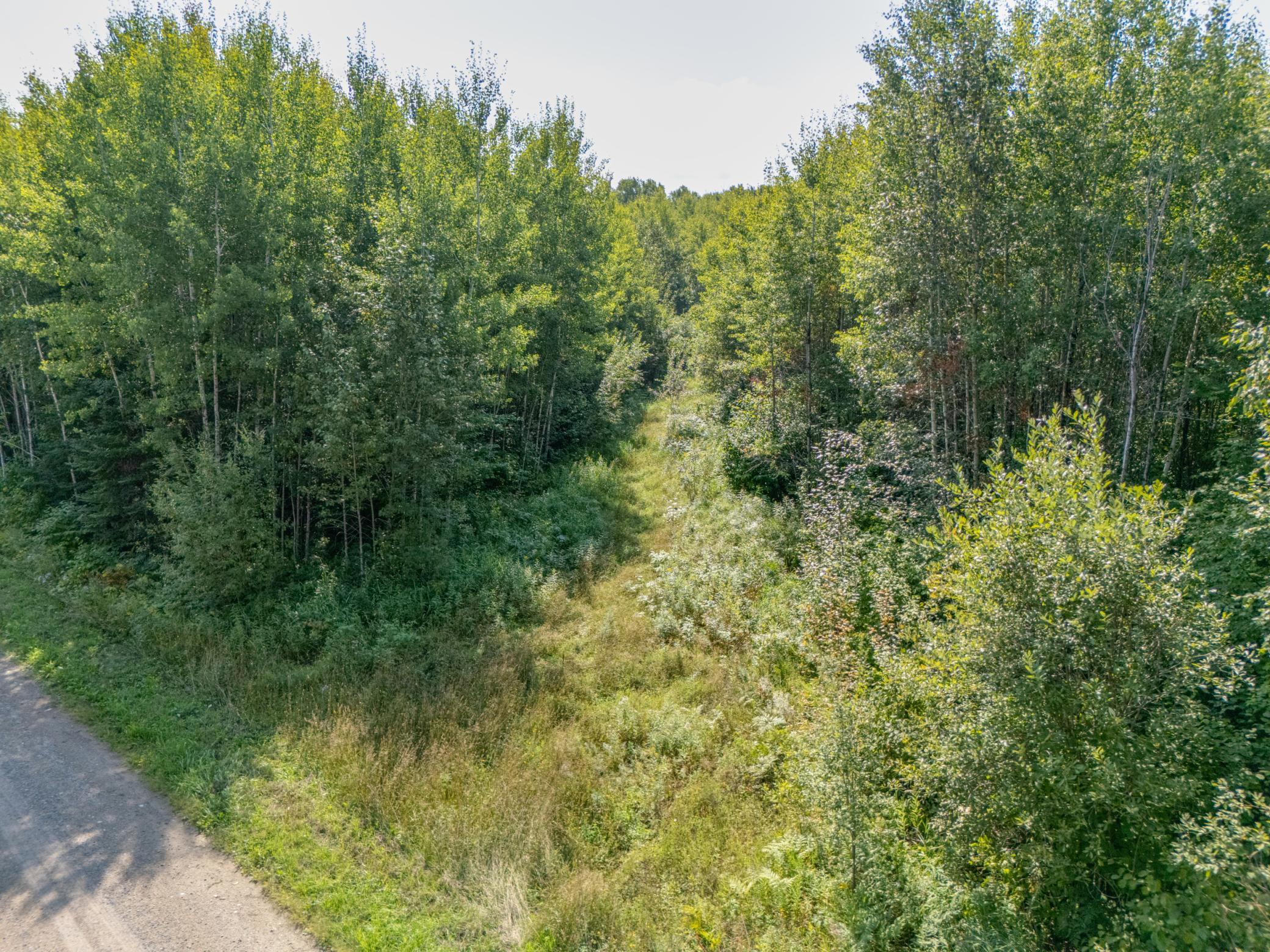 land for sale at TBD County Rd 523 in Effie, MN (photo 3 of 6)