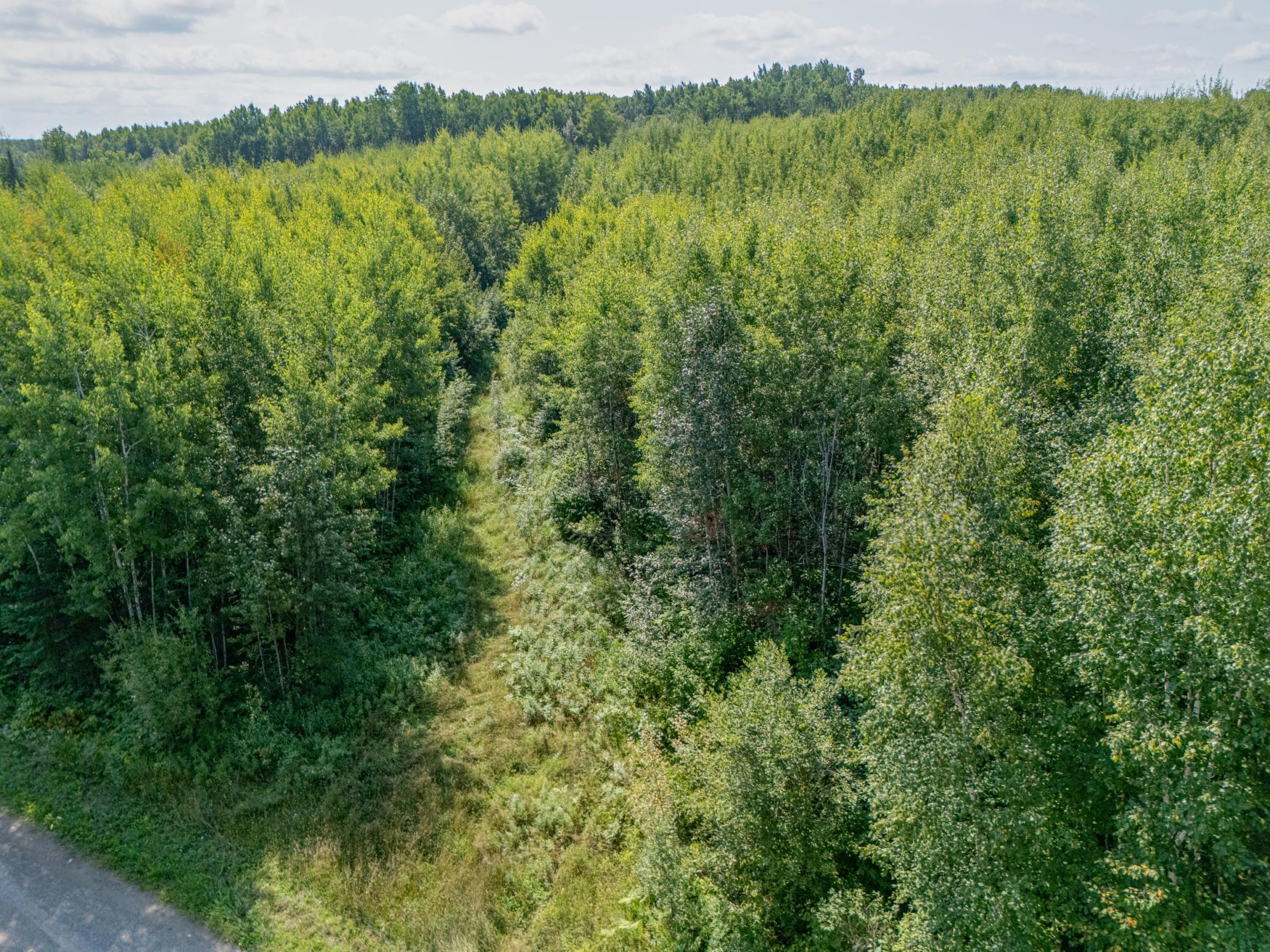 land for sale at TBD County Rd 523 in Effie, MN (photo 4 of 6)