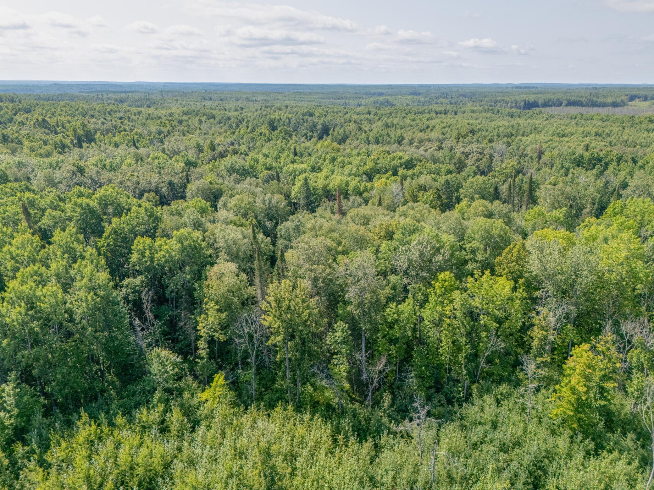 land for sale at TBD County Rd 523 in Effie, MN (photo 5 of 6)