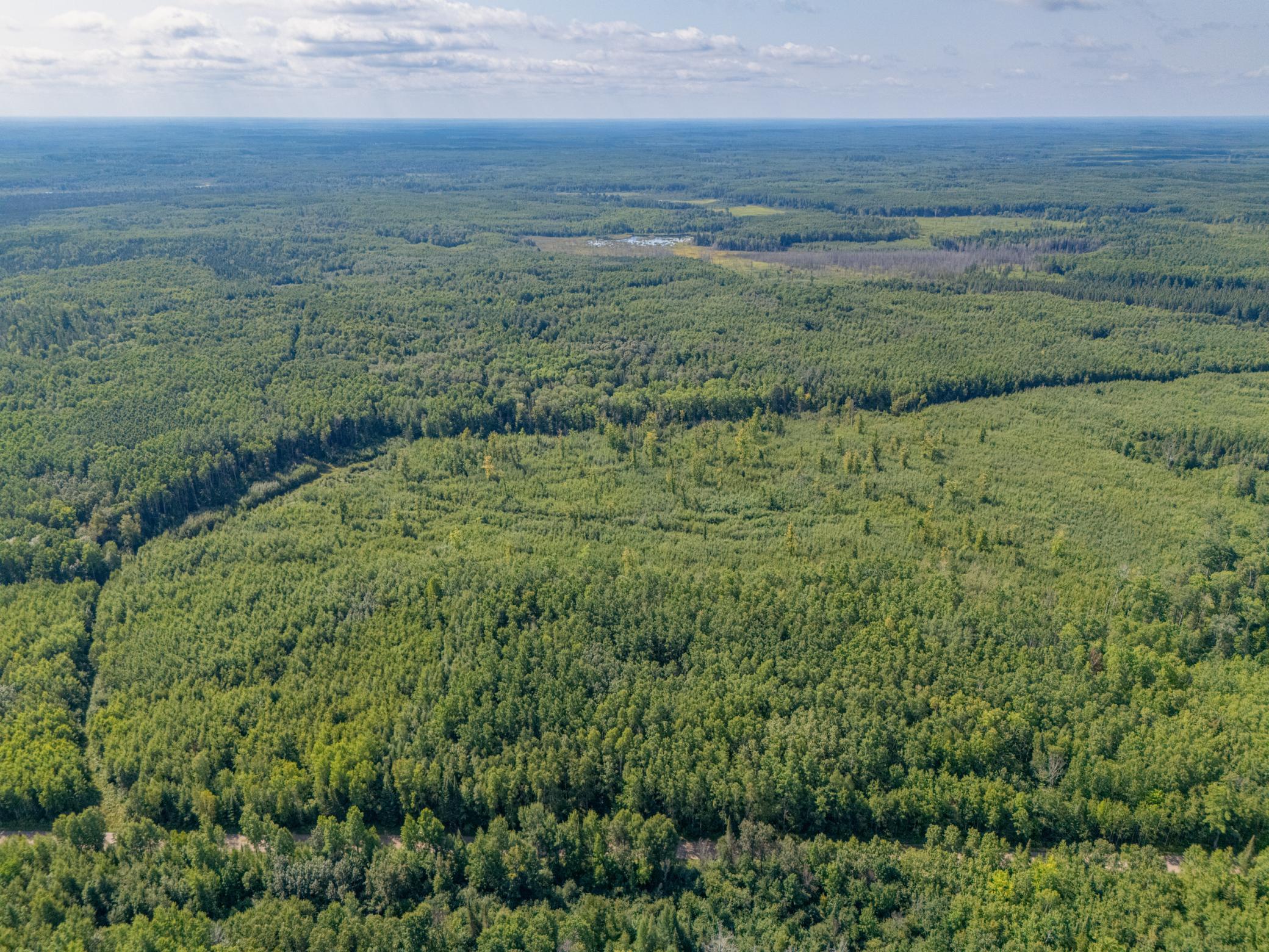 land for sale at TBD County Rd 523 in Effie, MN (photo 6 of 6)