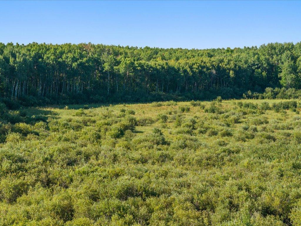 land for sale at TBD Meadowview Rd in Brainerd, MN (photo 14 of 30)