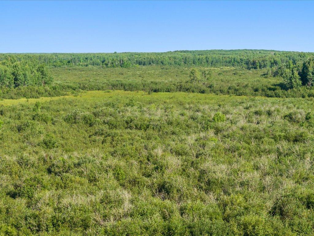 land for sale at TBD Meadowview Rd in Brainerd, MN (photo 16 of 30)