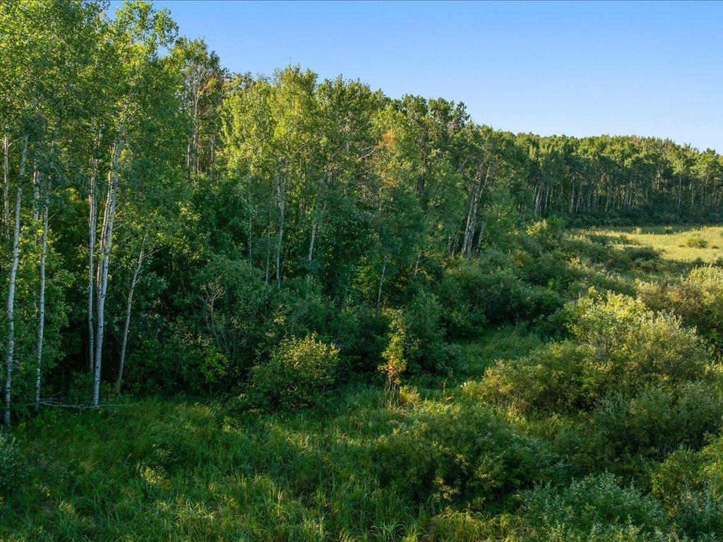 land for sale at TBD Meadowview Rd in Brainerd, MN (photo 19 of 30)