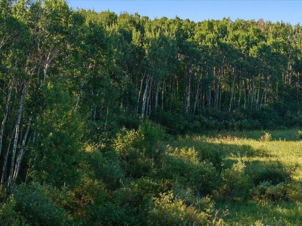 land for sale at TBD Meadowview Rd in Brainerd, MN (photo 20 of 30)
