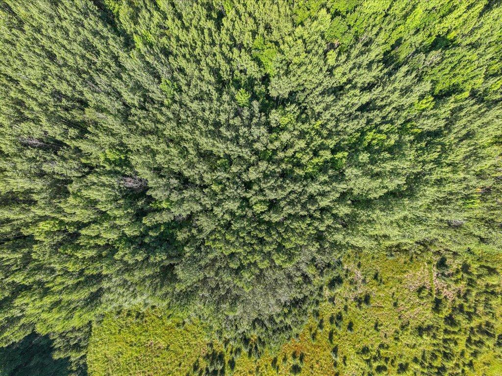 land for sale at TBD Meadowview Rd in Brainerd, MN (photo 25 of 30)