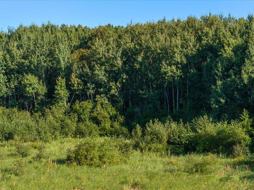 land for sale at TBD Meadowview Rd in Brainerd, MN (photo 9 of 30)