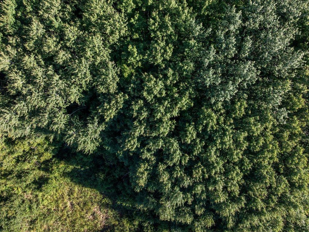 land for sale at TBD Meadowview Rd in Brainerd, MN (photo 10 of 30)
