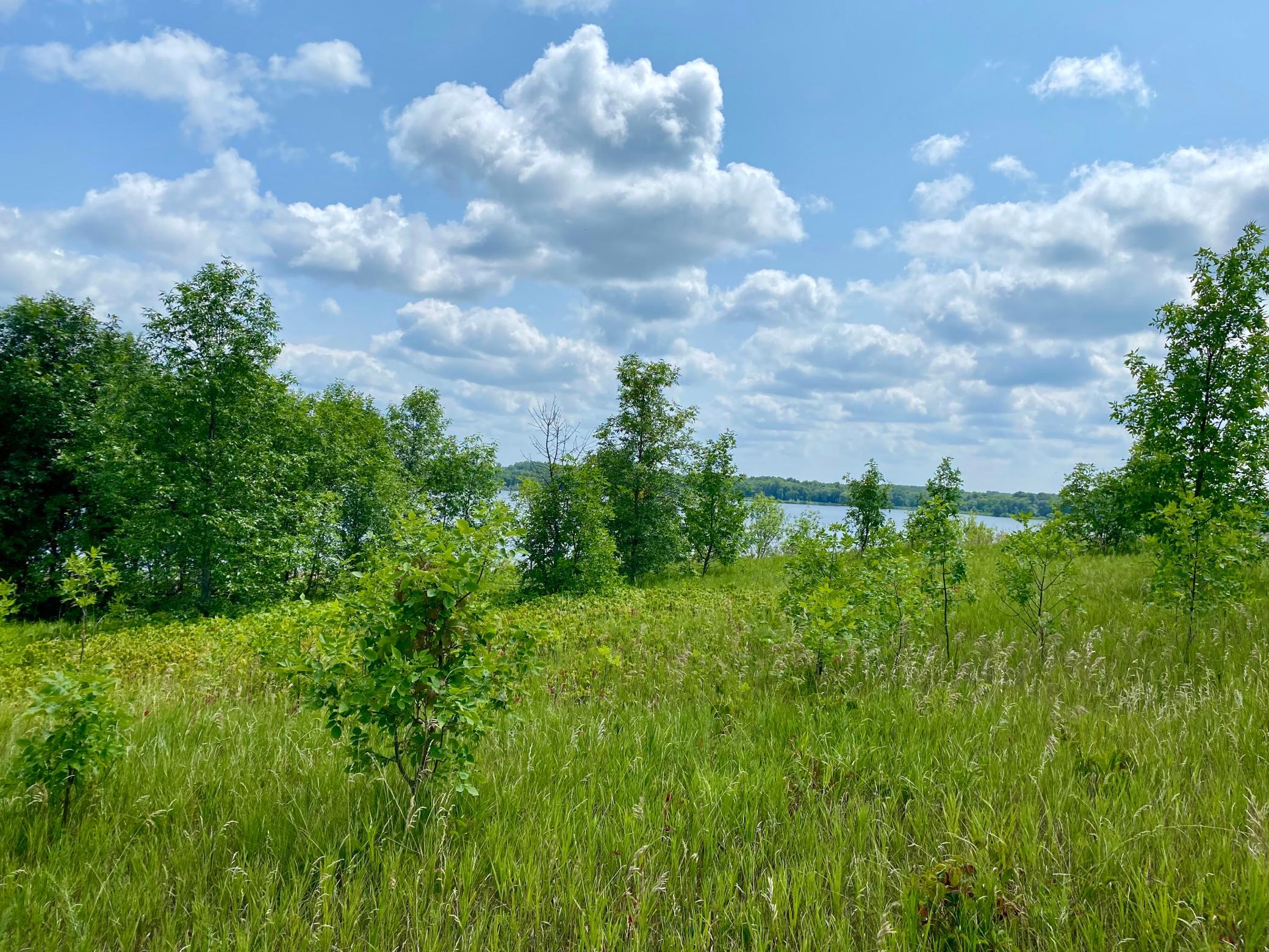 land for sale at 27XX Louise Drive NW in LaGrand Twp, MN (photo 4 of 7)