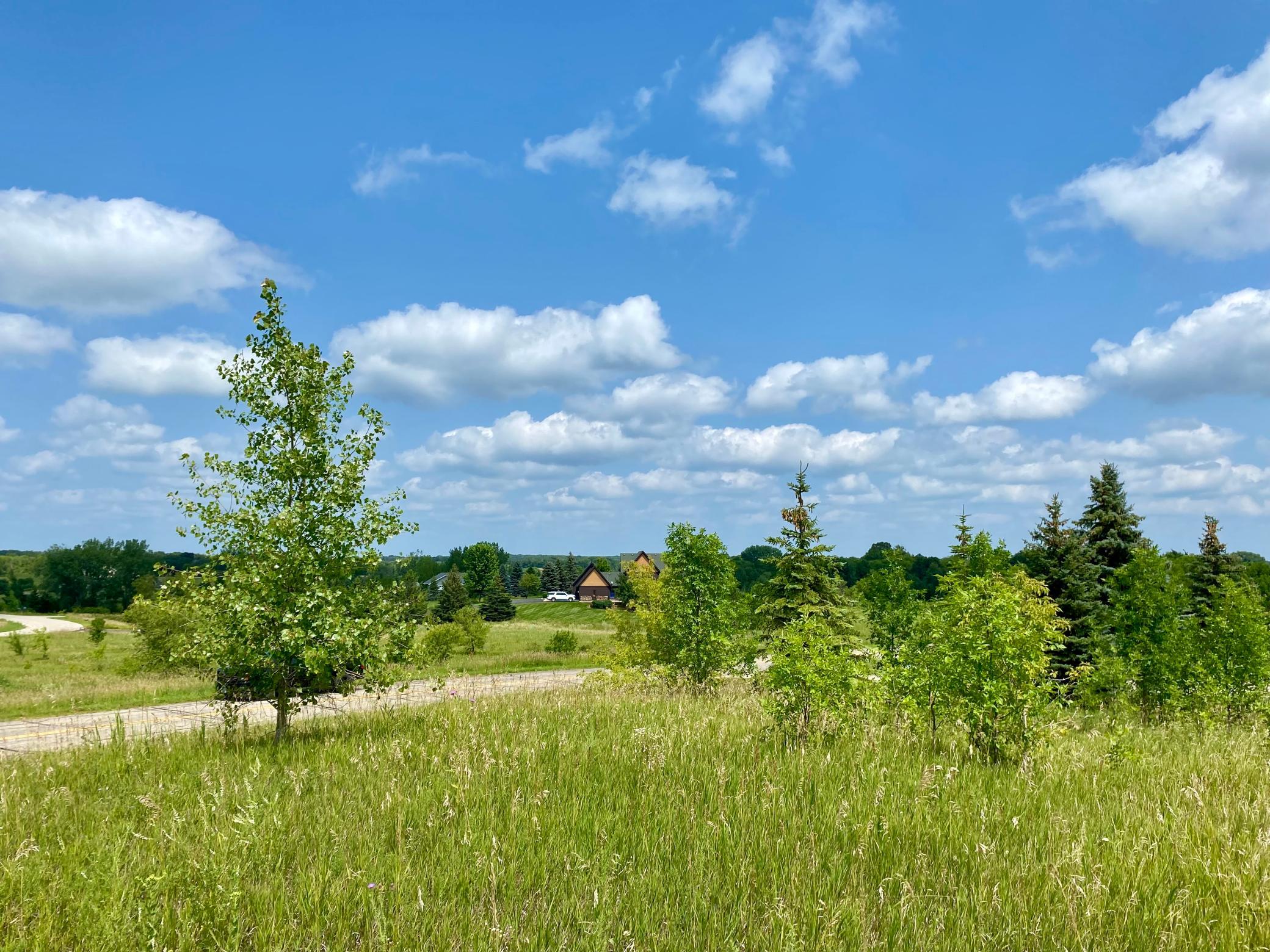 land for sale at 27XX Louise Drive NW in LaGrand Twp, MN (photo 5 of 7)