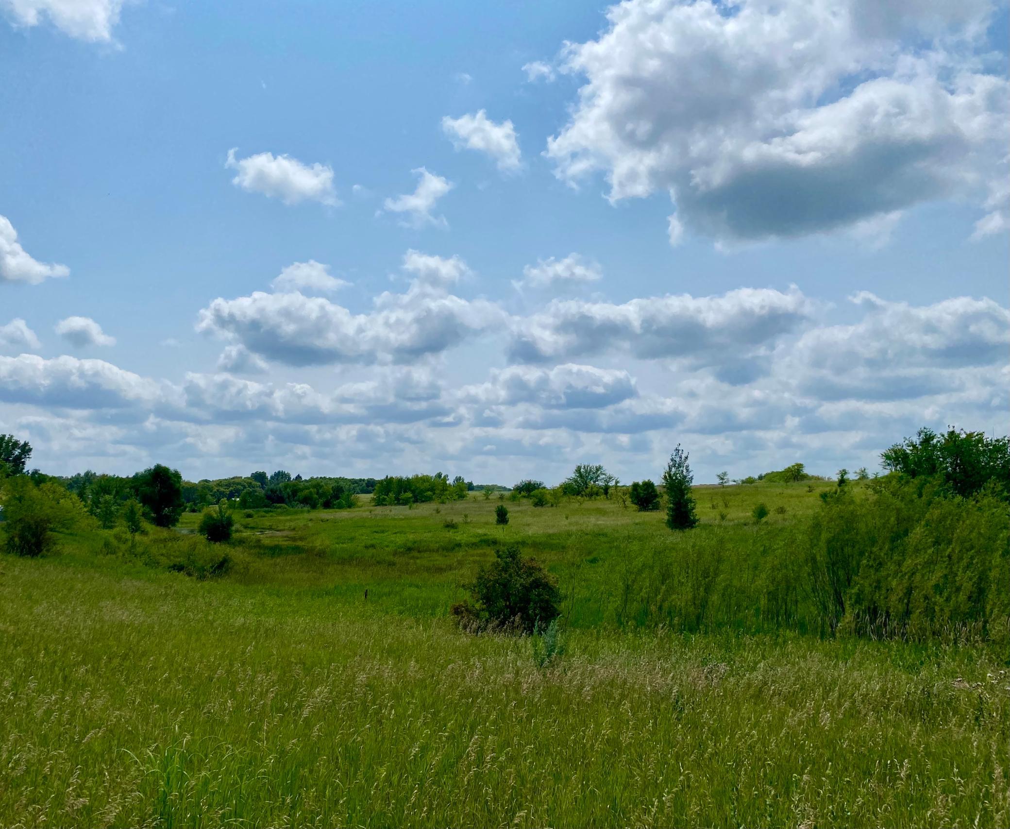land for sale at XX32 Country Estates Drive in Ida Twp, MN (photo 2 of 3)