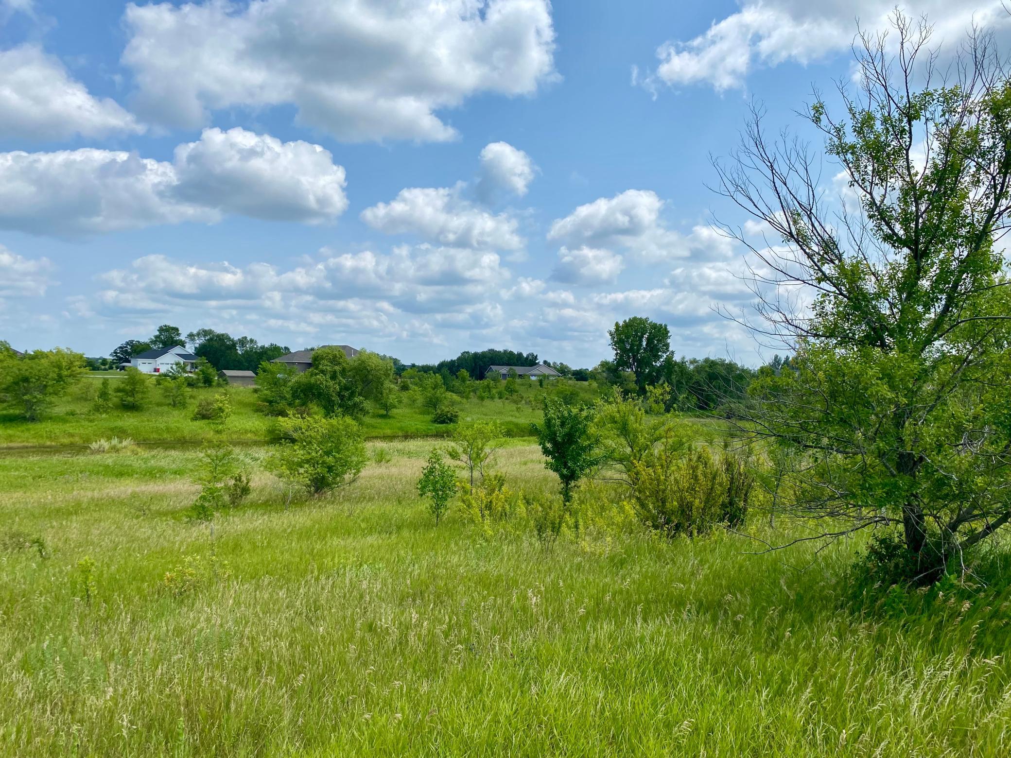 land for sale at XX32 Country Estates Drive in Ida Twp, MN (photo 3 of 3)