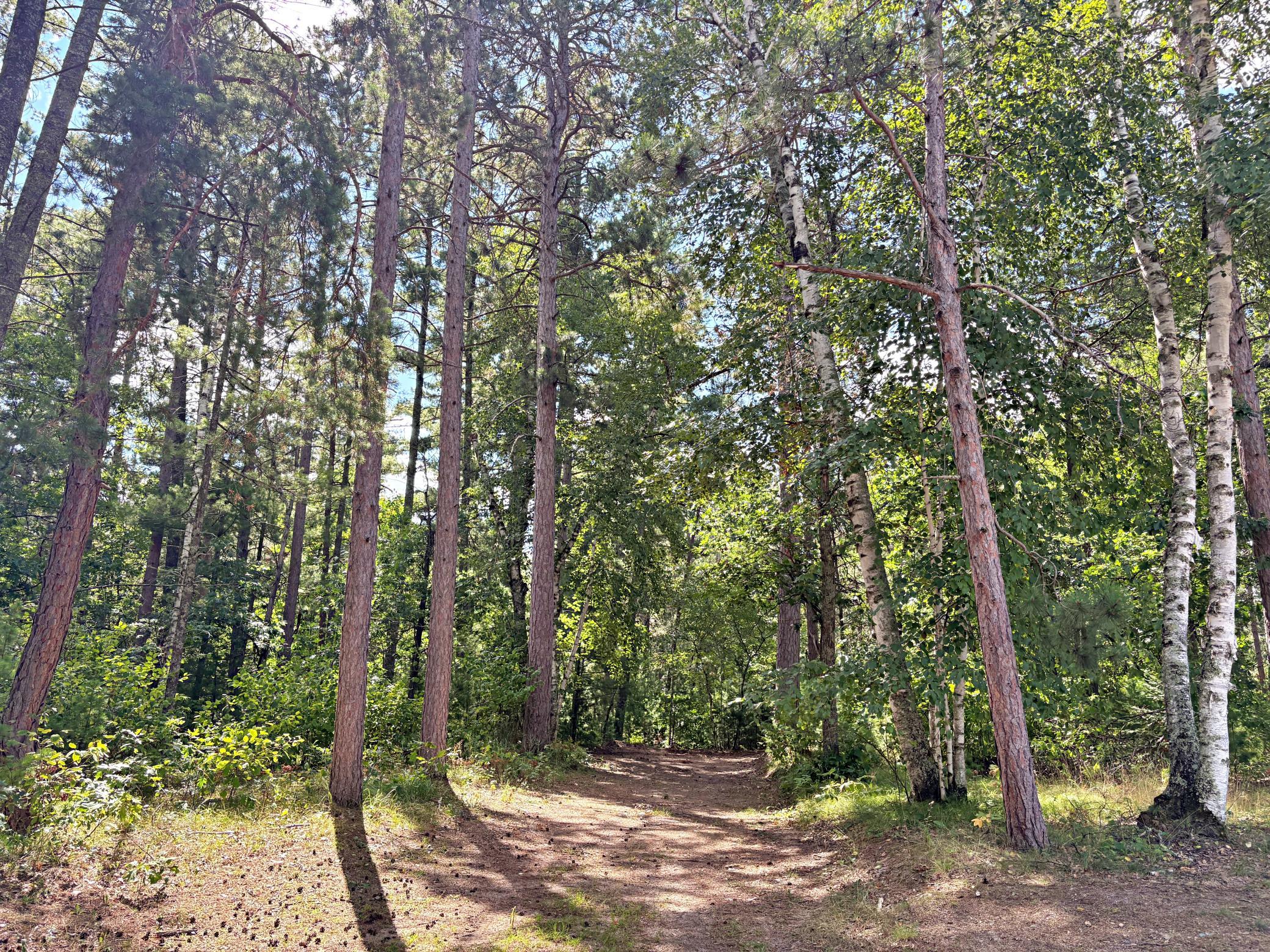 1977 single family home for sale at 16939 Dogwood Road in Park Rapids, MN — 4 bed, 2 bath (photo 27 of 34)