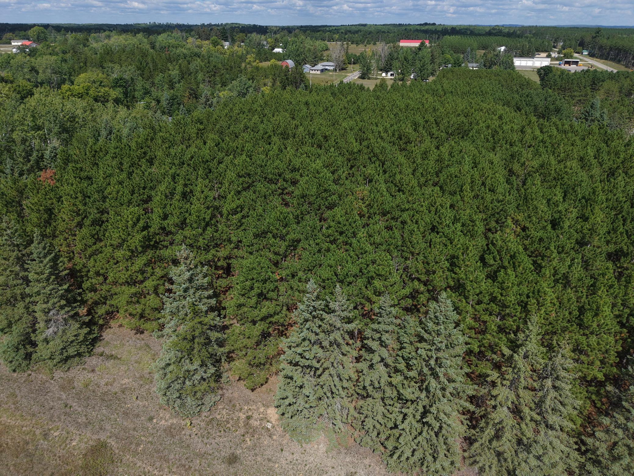 land for sale at TBD East Avenue in Nevis, MN (photo 13 of 17)