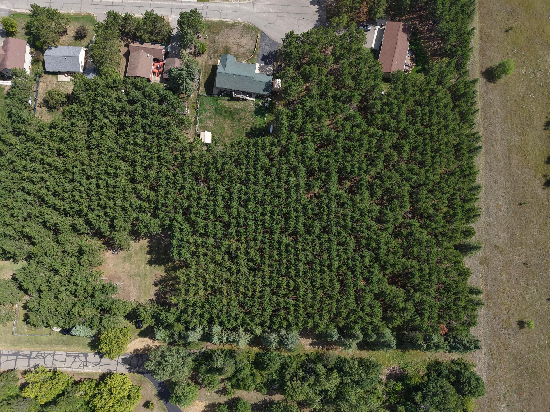 land for sale at TBD East Avenue in Nevis, MN (photo 10 of 17)