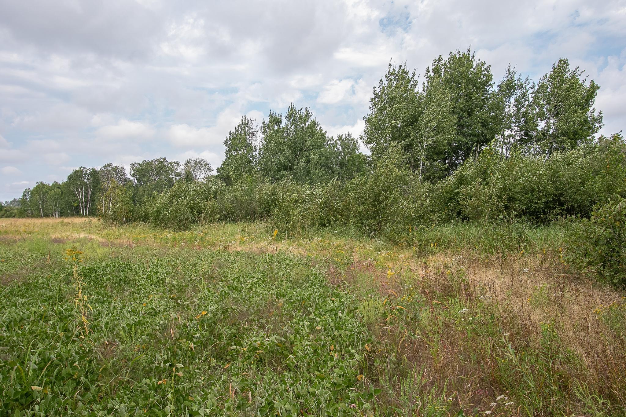 land for sale at TBD County Road 11 in Aitkin, MN (photo 11 of 41)