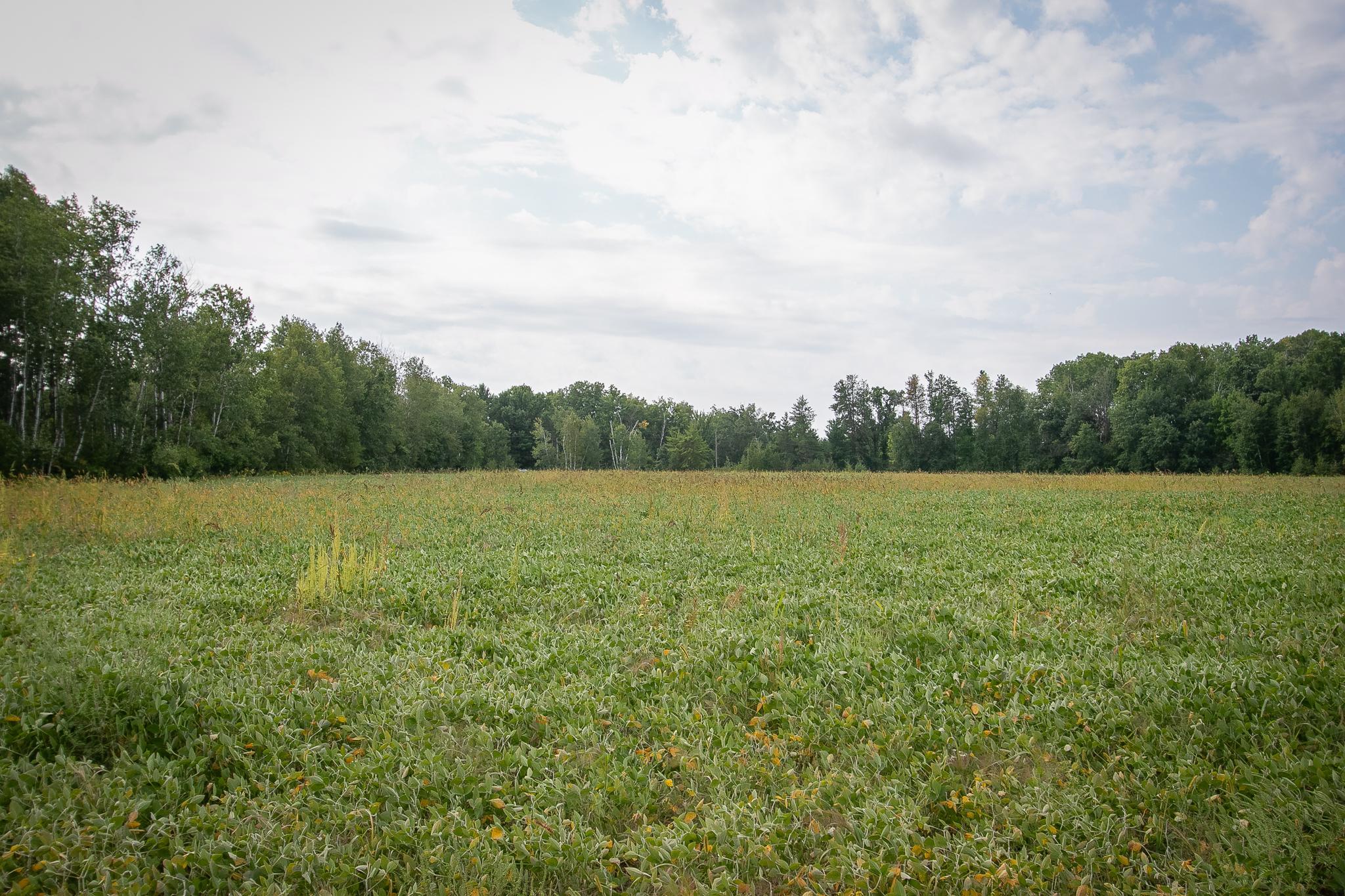 land for sale at TBD County Road 11 in Aitkin, MN (photo 12 of 41)