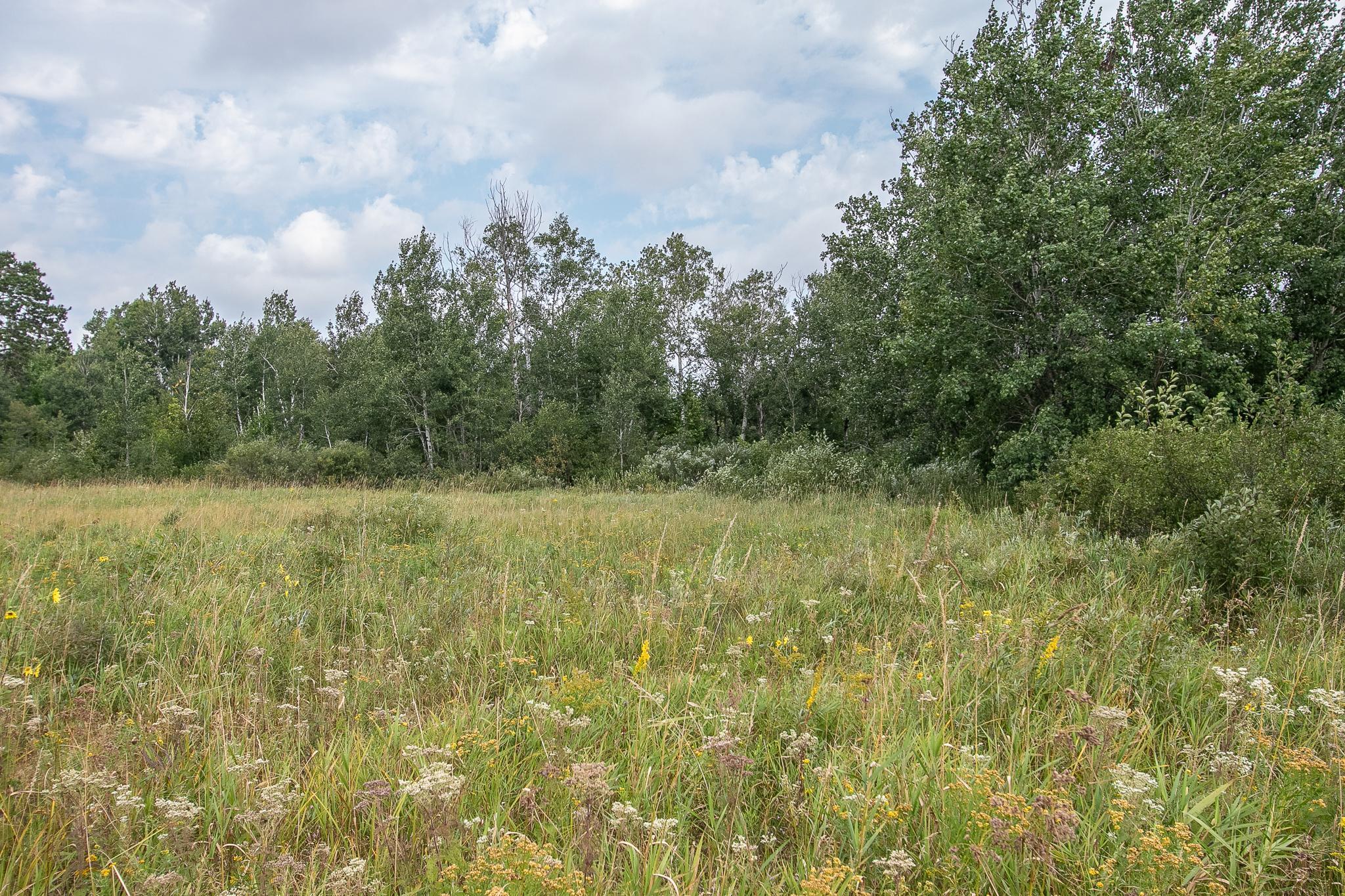 land for sale at TBD County Road 11 in Aitkin, MN (photo 13 of 41)