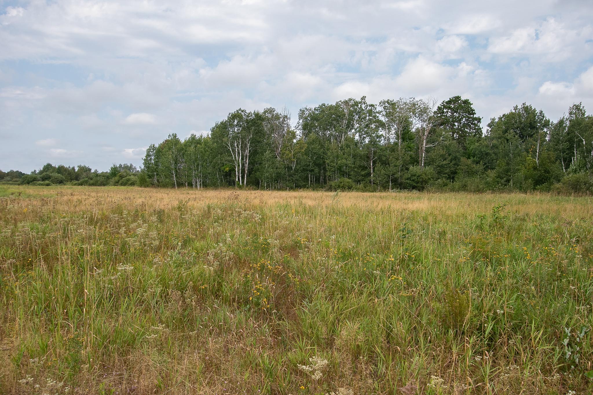 land for sale at TBD County Road 11 in Aitkin, MN (photo 14 of 41)
