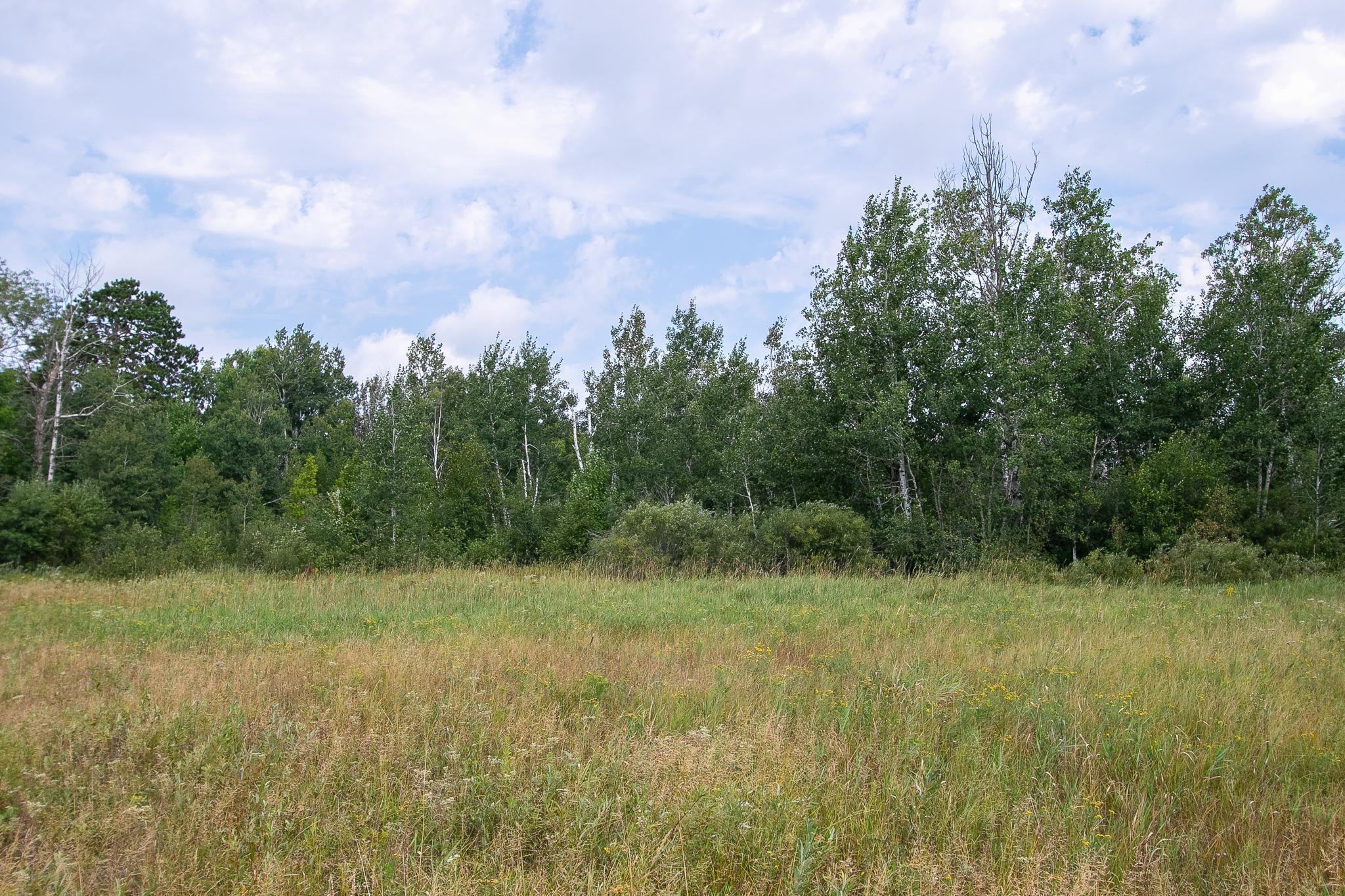 land for sale at TBD County Road 11 in Aitkin, MN (photo 15 of 41)