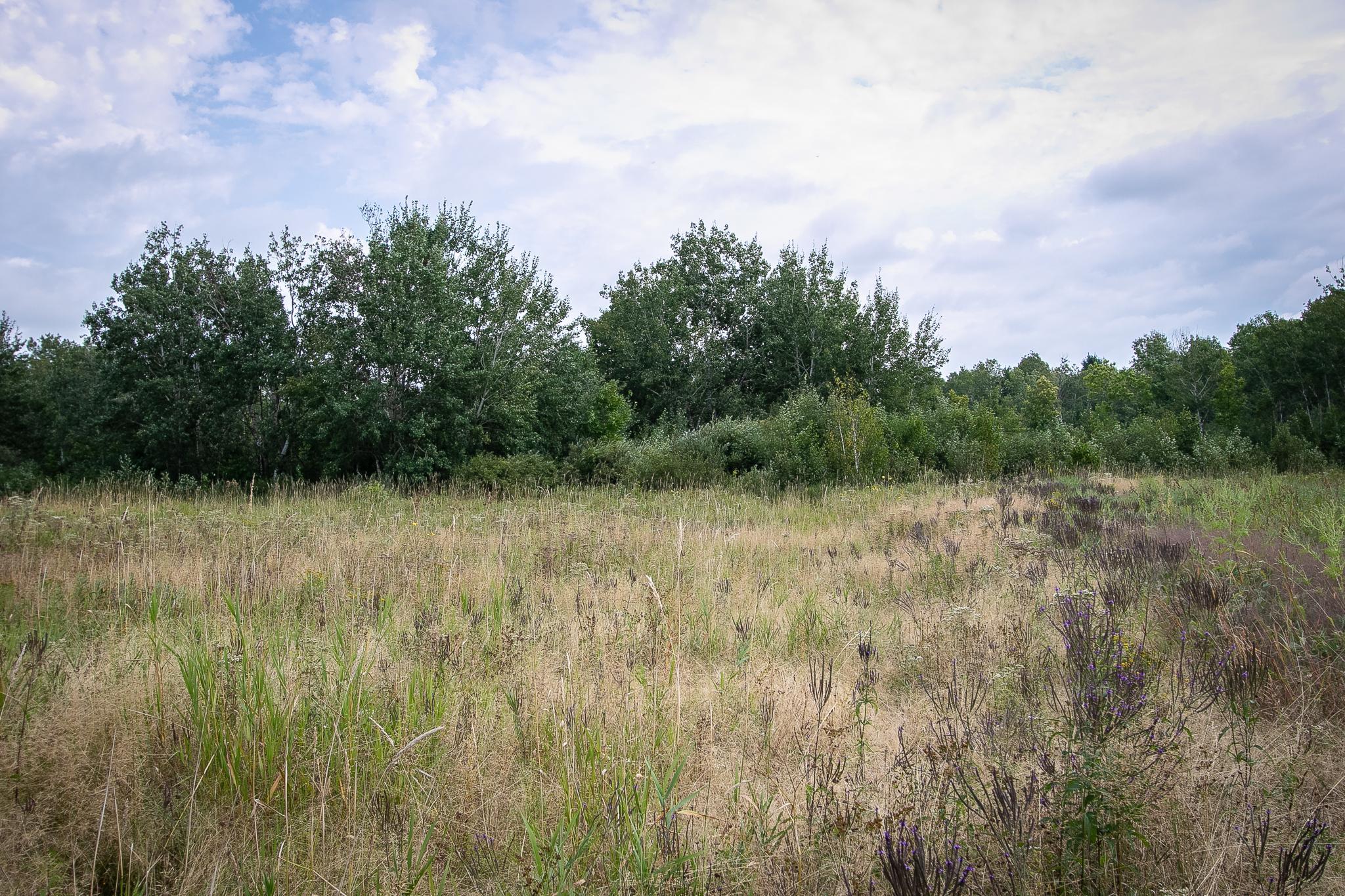 land for sale at TBD County Road 11 in Aitkin, MN (photo 17 of 41)
