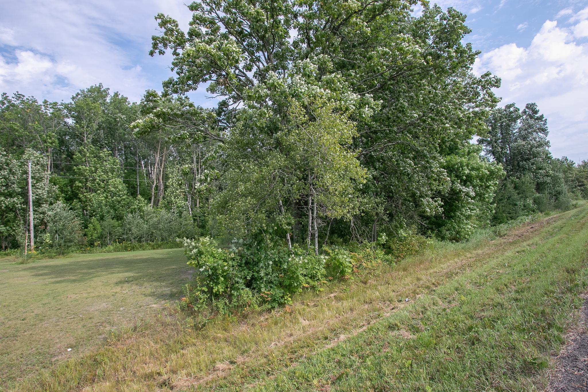 land for sale at TBD County Road 11 in Aitkin, MN (photo 3 of 41)
