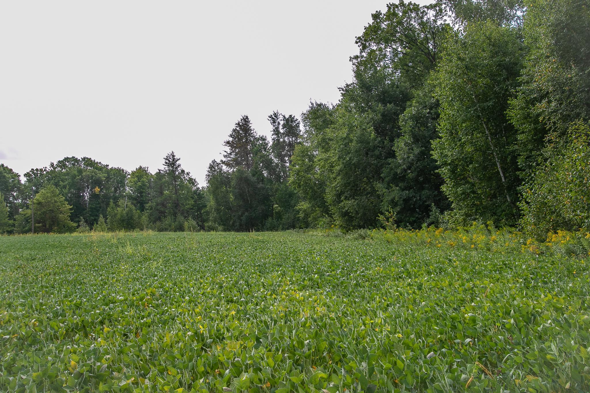 land for sale at TBD County Road 11 in Aitkin, MN (photo 21 of 41)