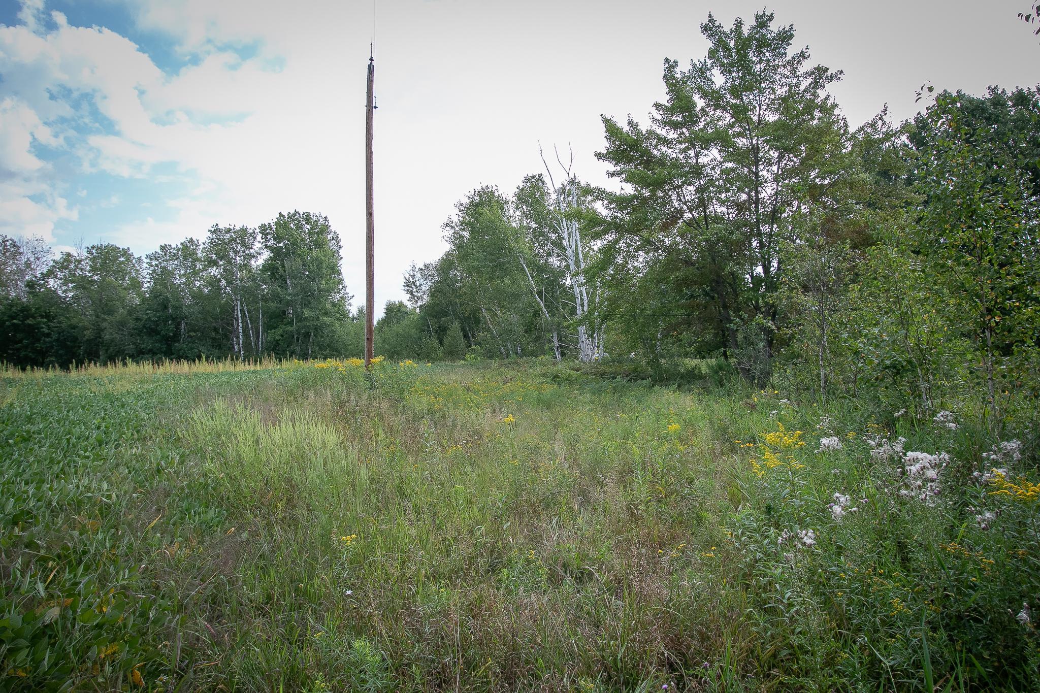 land for sale at TBD County Road 11 in Aitkin, MN (photo 23 of 41)
