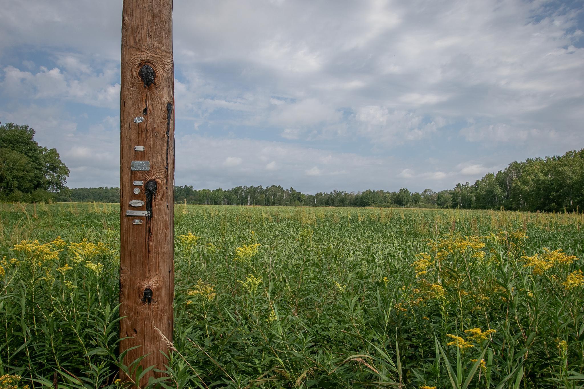land for sale at TBD County Road 11 in Aitkin, MN (photo 24 of 41)