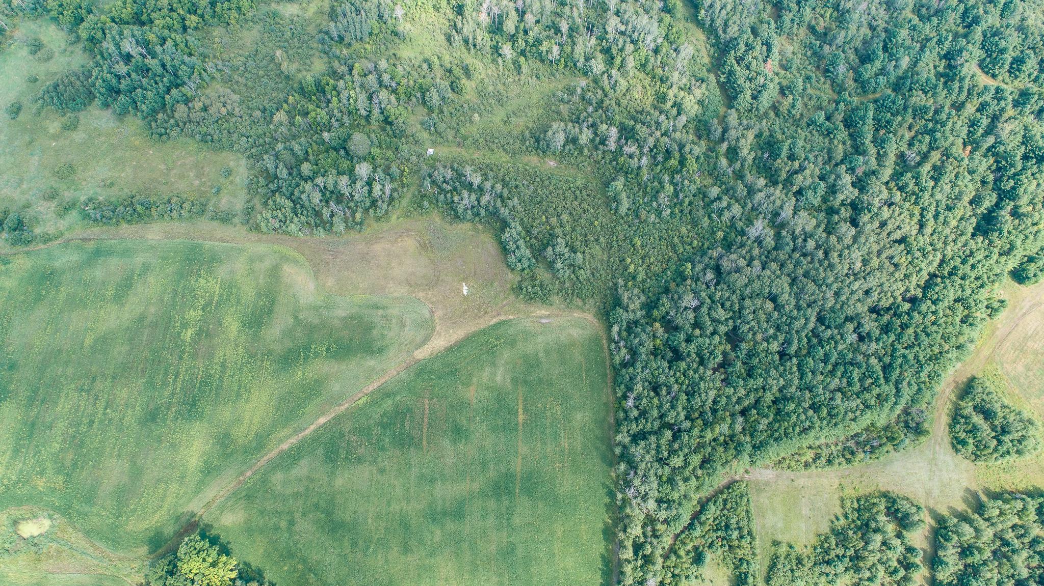 land for sale at TBD County Road 11 in Aitkin, MN (photo 34 of 41)