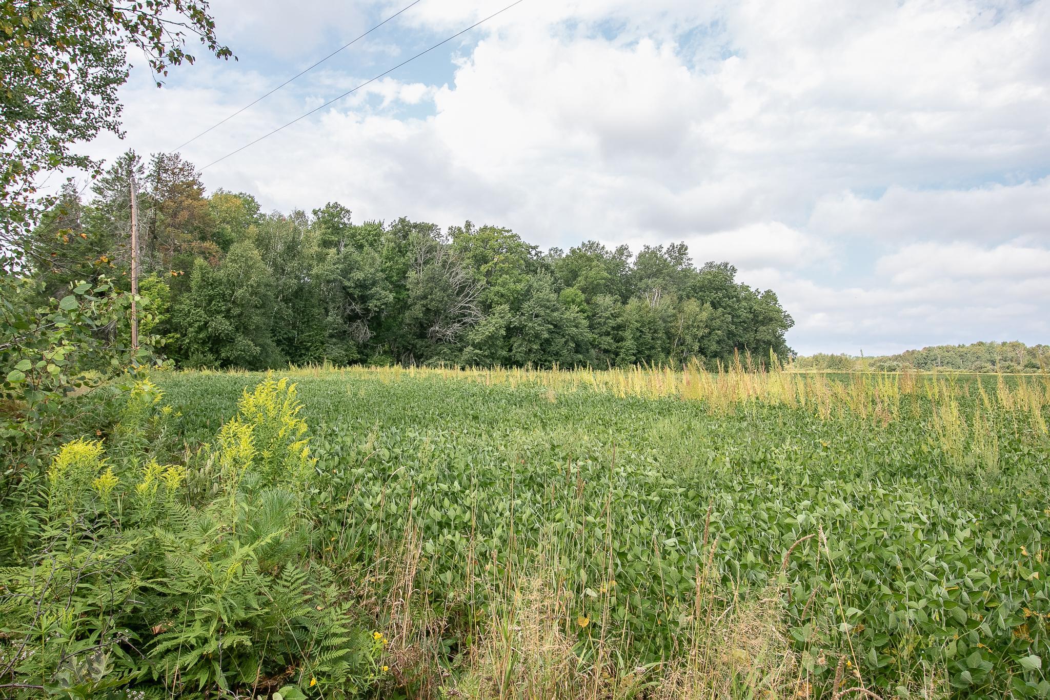 land for sale at TBD County Road 11 in Aitkin, MN (photo 6 of 41)