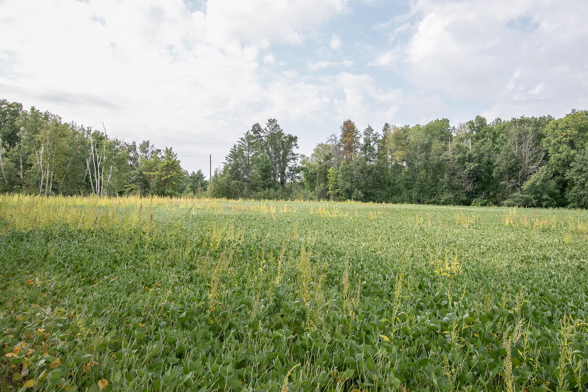 land for sale at TBD County Road 11 in Aitkin, MN (photo 8 of 41)