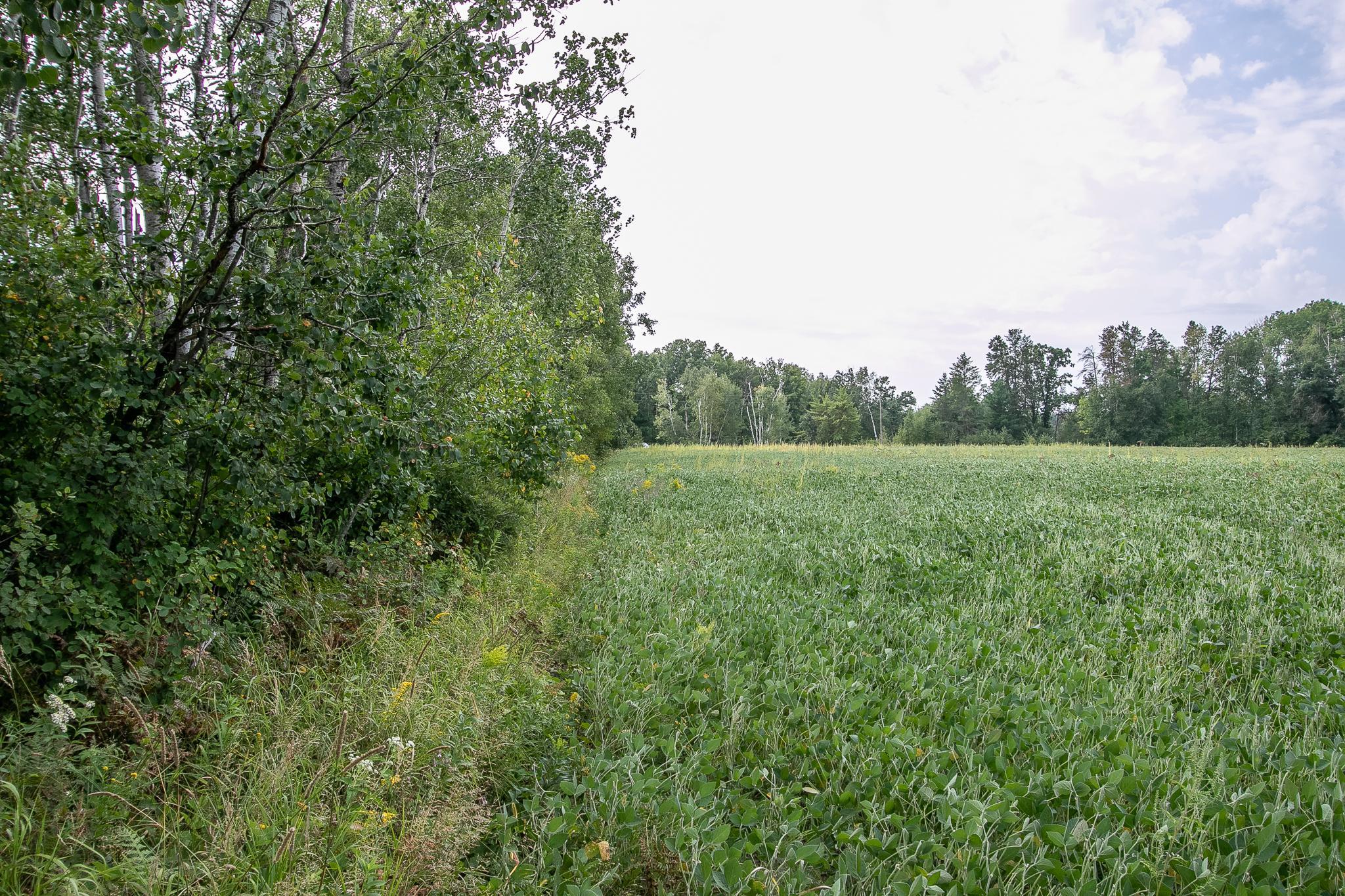 land for sale at TBD County Road 11 in Aitkin, MN (photo 9 of 41)