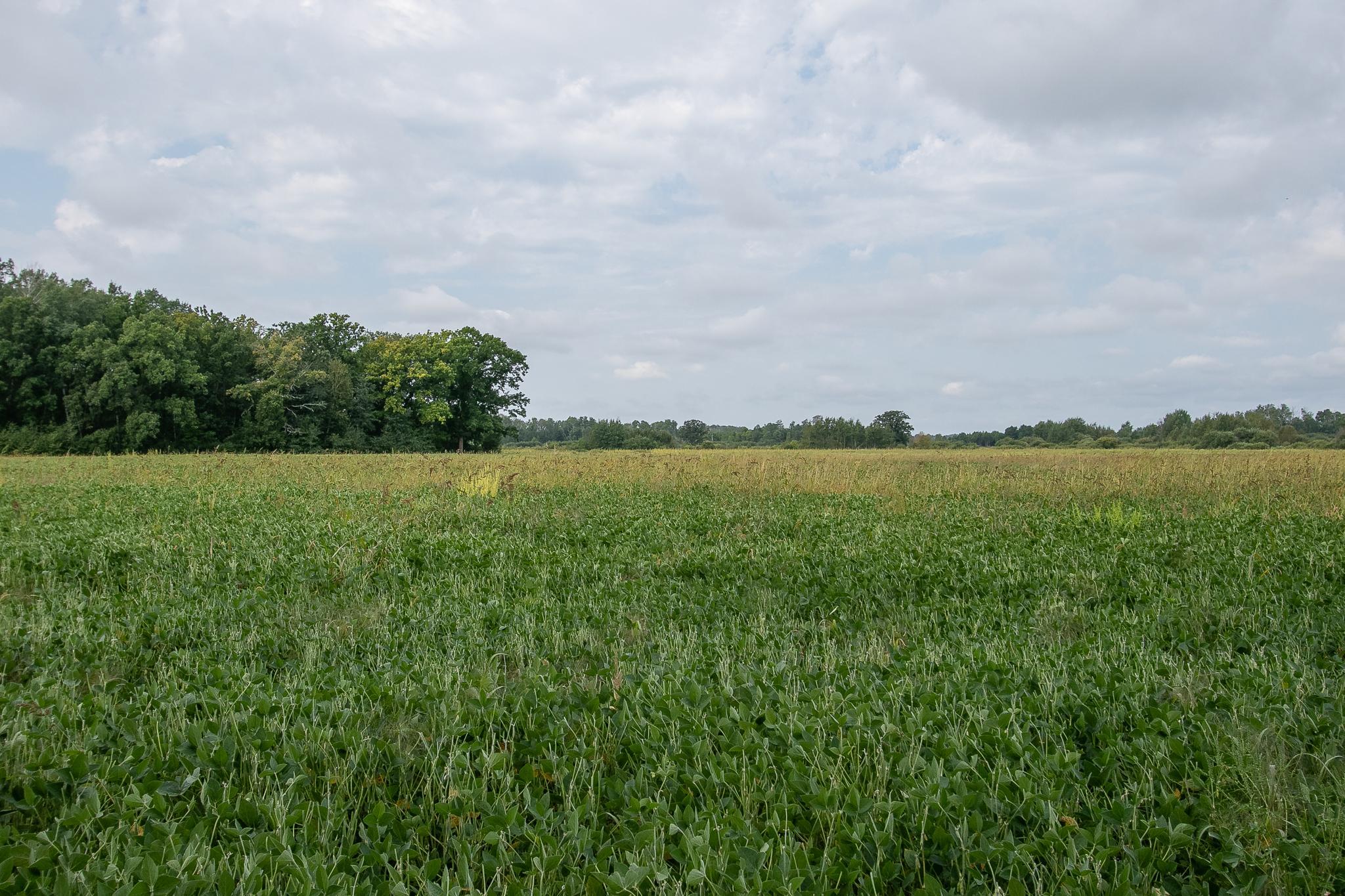 land for sale at TBD County Road 11 in Aitkin, MN (photo 10 of 41)