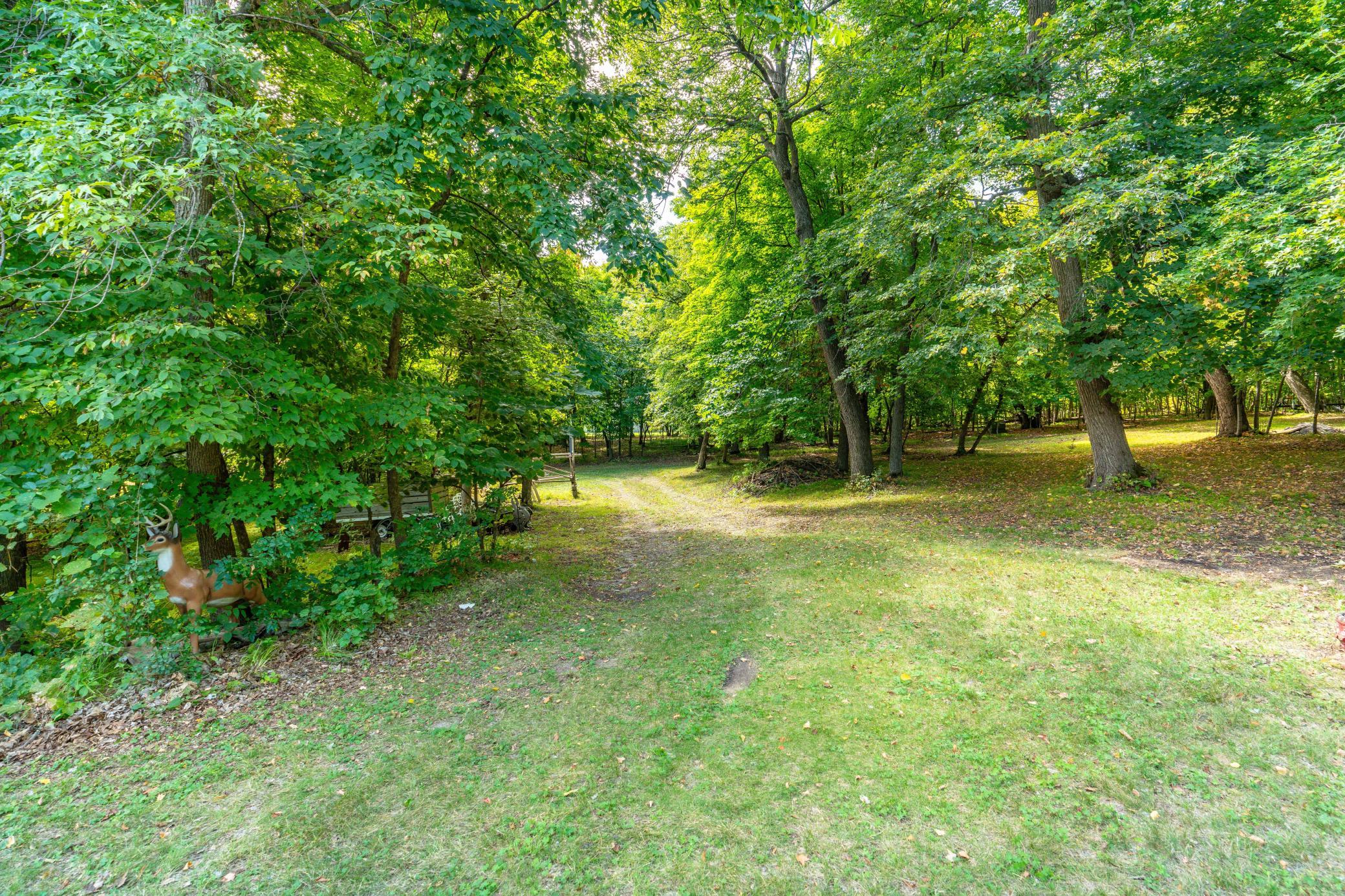 1962 single family home for sale at 36045 Timber Hills Trail in Battle Lake, MN — 3 bed, 1 bath (photo 23 of 52)
