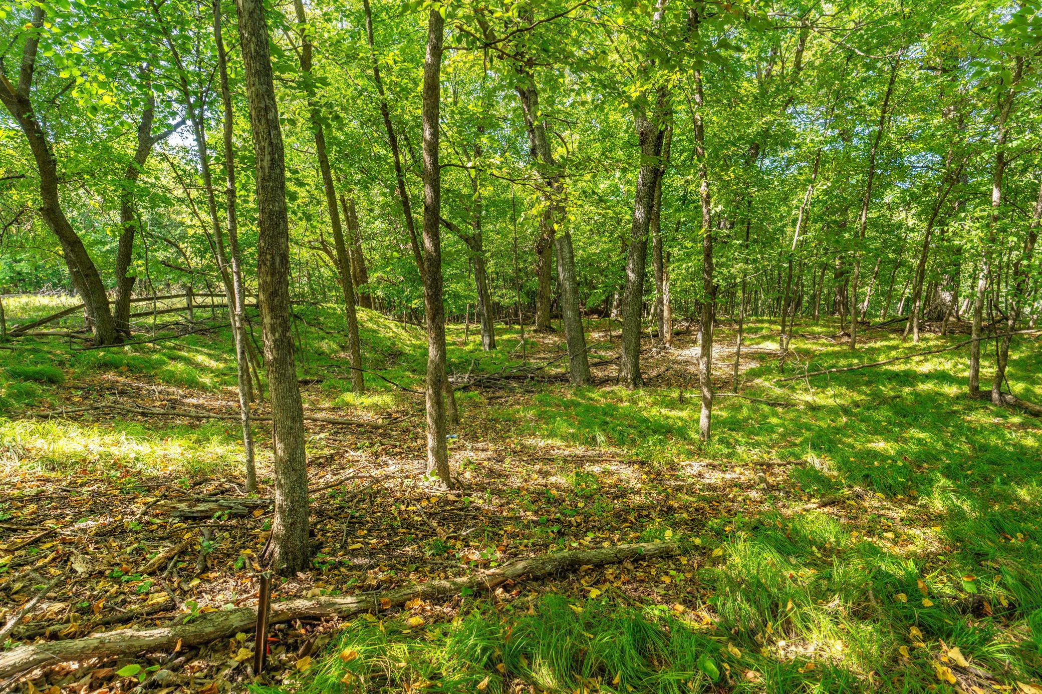 1962 single family home for sale at 36045 Timber Hills Trail in Battle Lake, MN — 3 bed, 1 bath (photo 25 of 52)