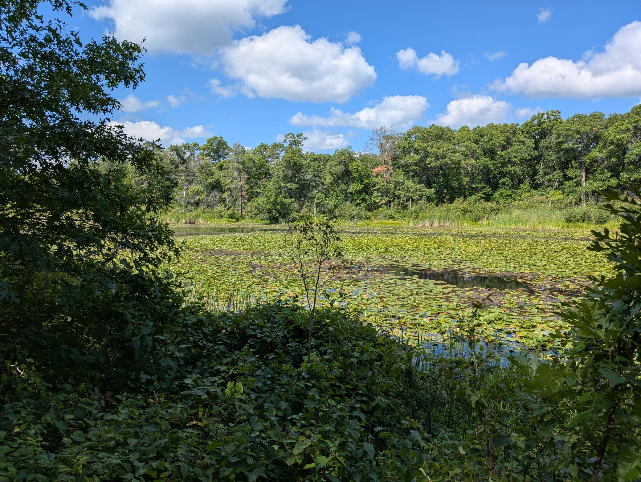 land for sale at Lot 9 block 1 Fawn Lake Road in Cross Lake, MN (photo 2 of 11)