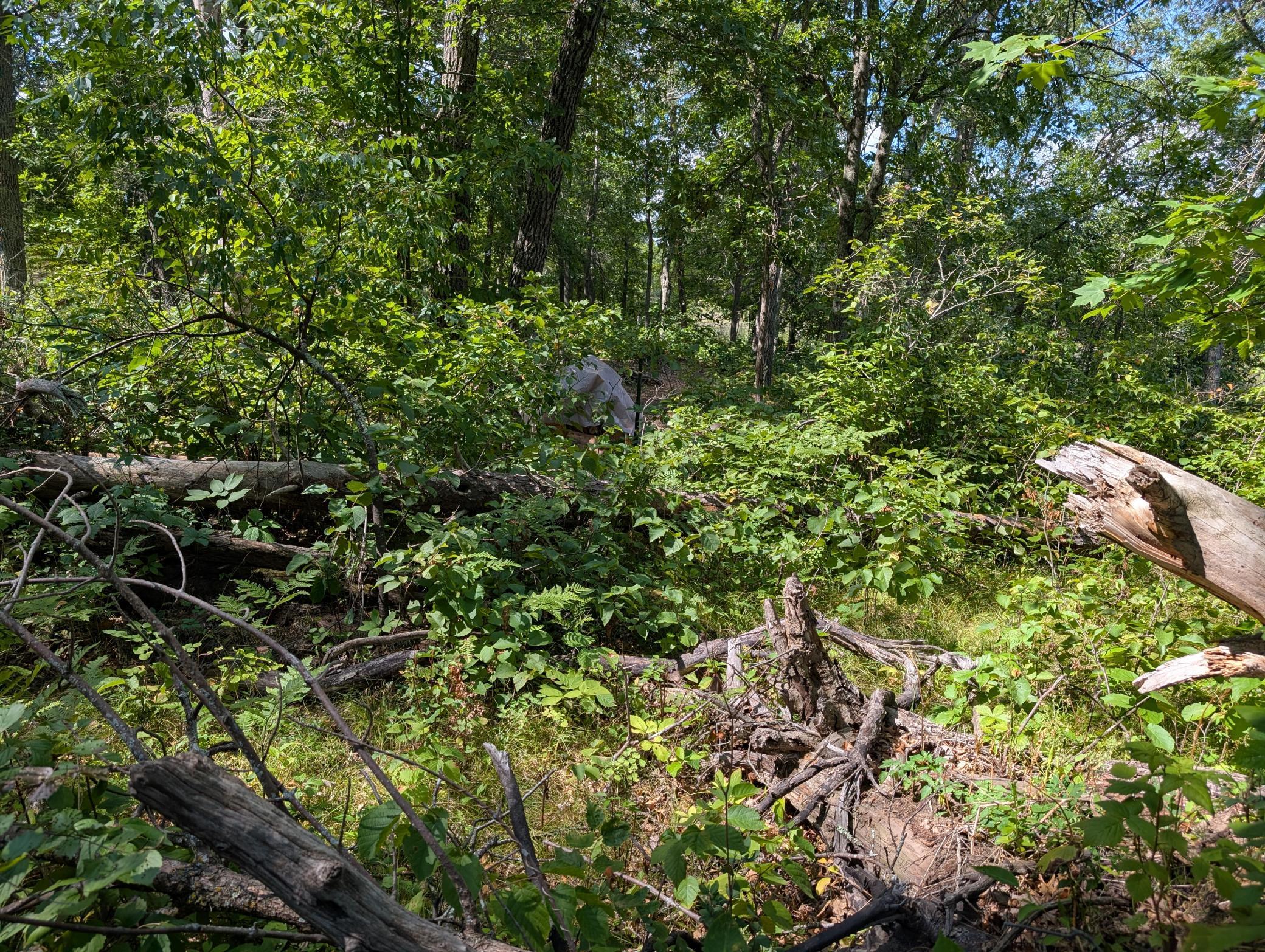 land for sale at Lot 9 block 1 Fawn Lake Road in Cross Lake, MN (photo 11 of 11)