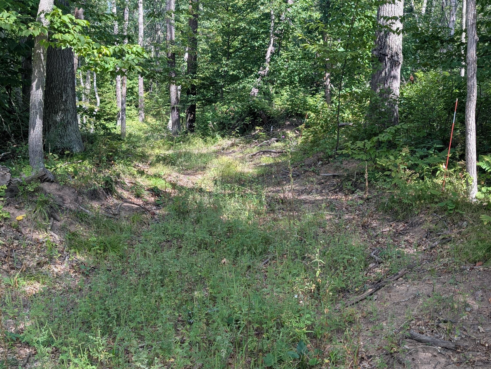 land for sale at Lot 9 block 1 Fawn Lake Road in Cross Lake, MN (photo 3 of 11)