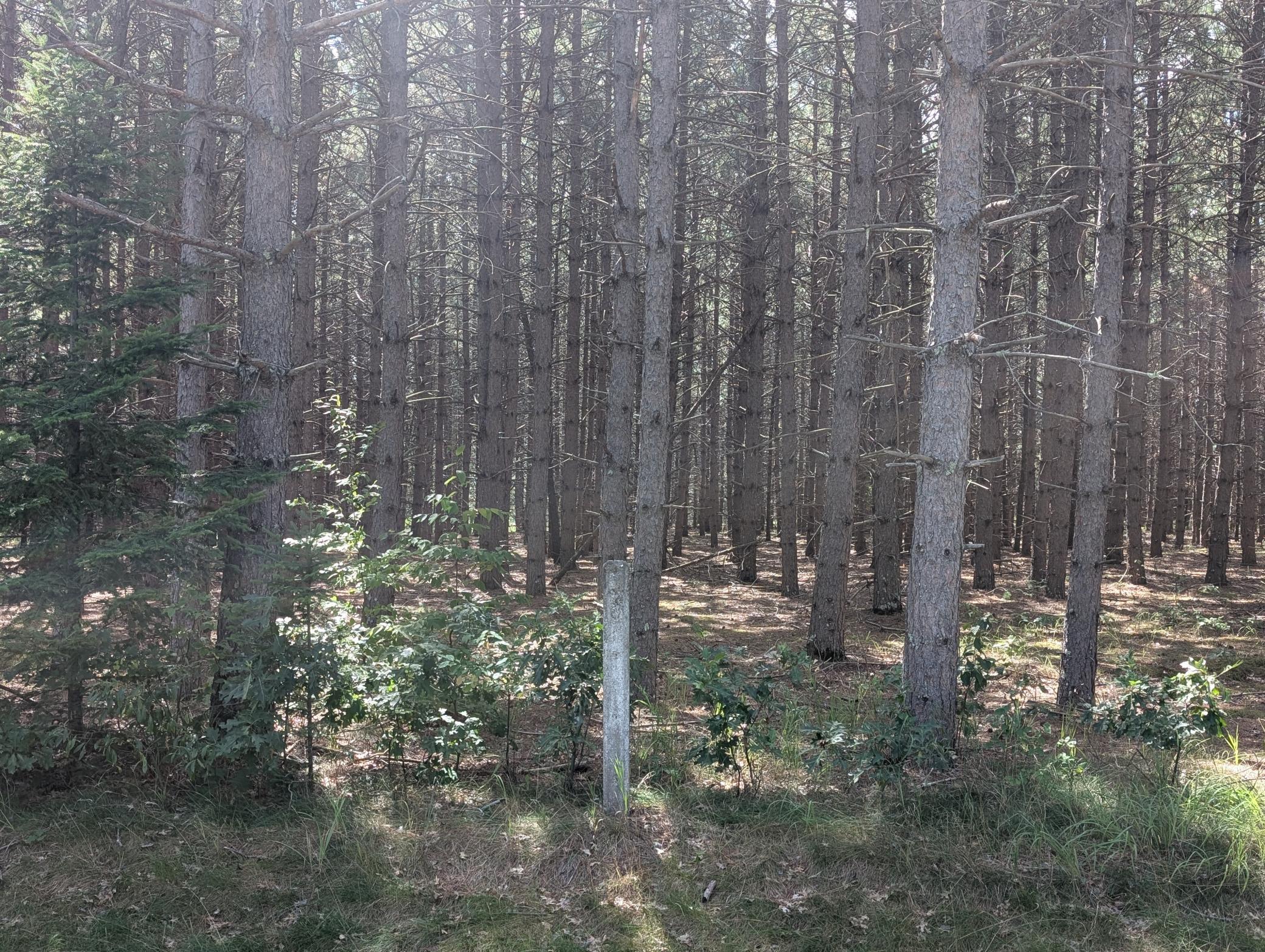 land for sale at Lot 9 block 1 Fawn Lake Road in Cross Lake, MN (photo 4 of 11)