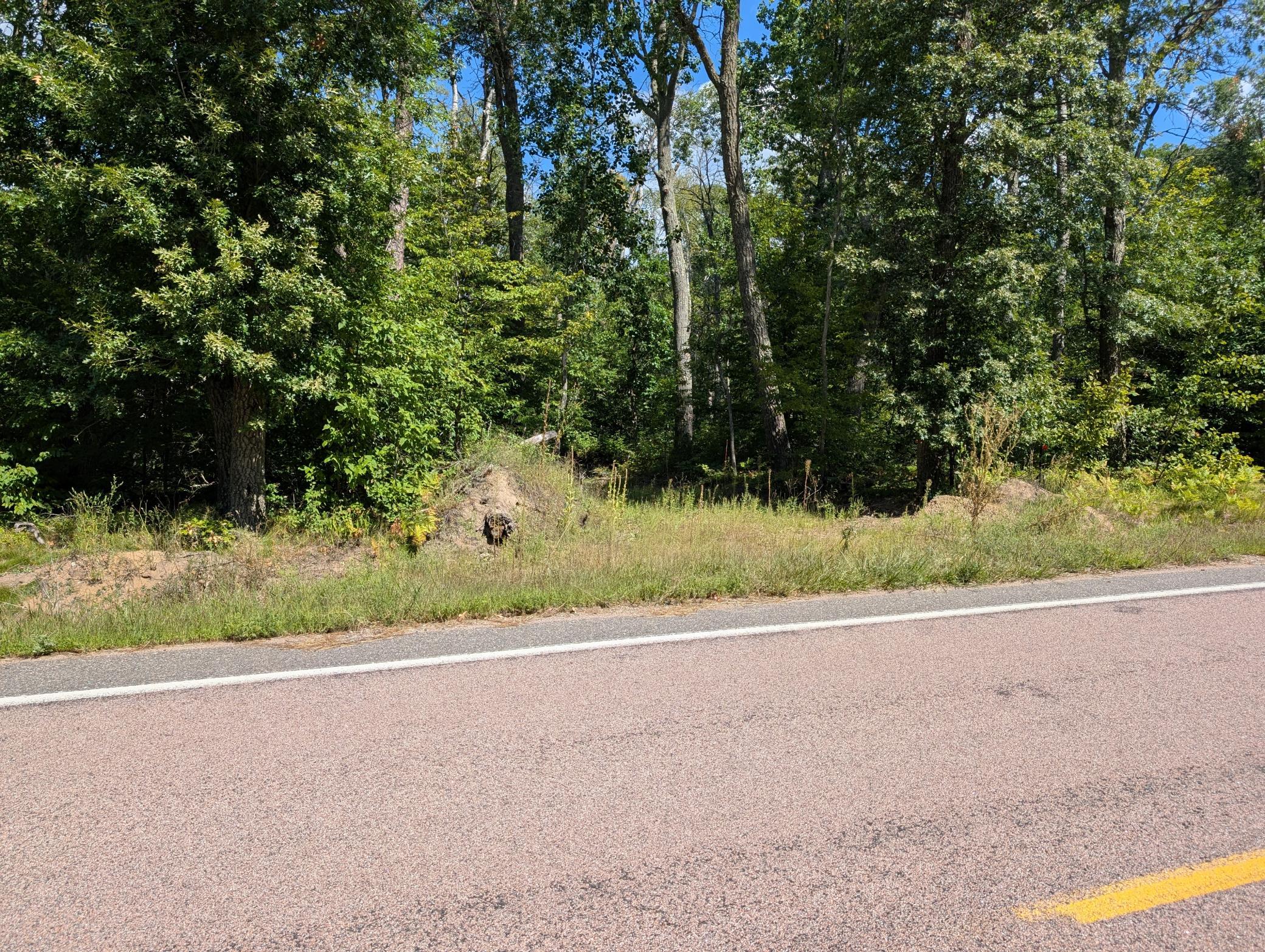 land for sale at Lot 9 block 1 Fawn Lake Road in Cross Lake, MN (photo 5 of 11)