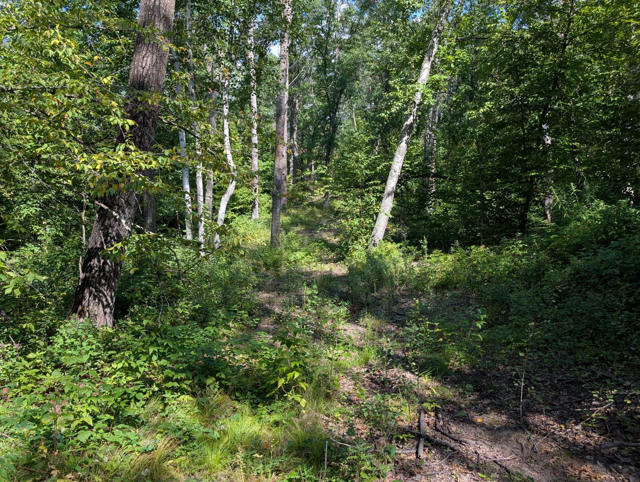 land for sale at Lot 9 block 1 Fawn Lake Road in Cross Lake, MN (photo 7 of 11)
