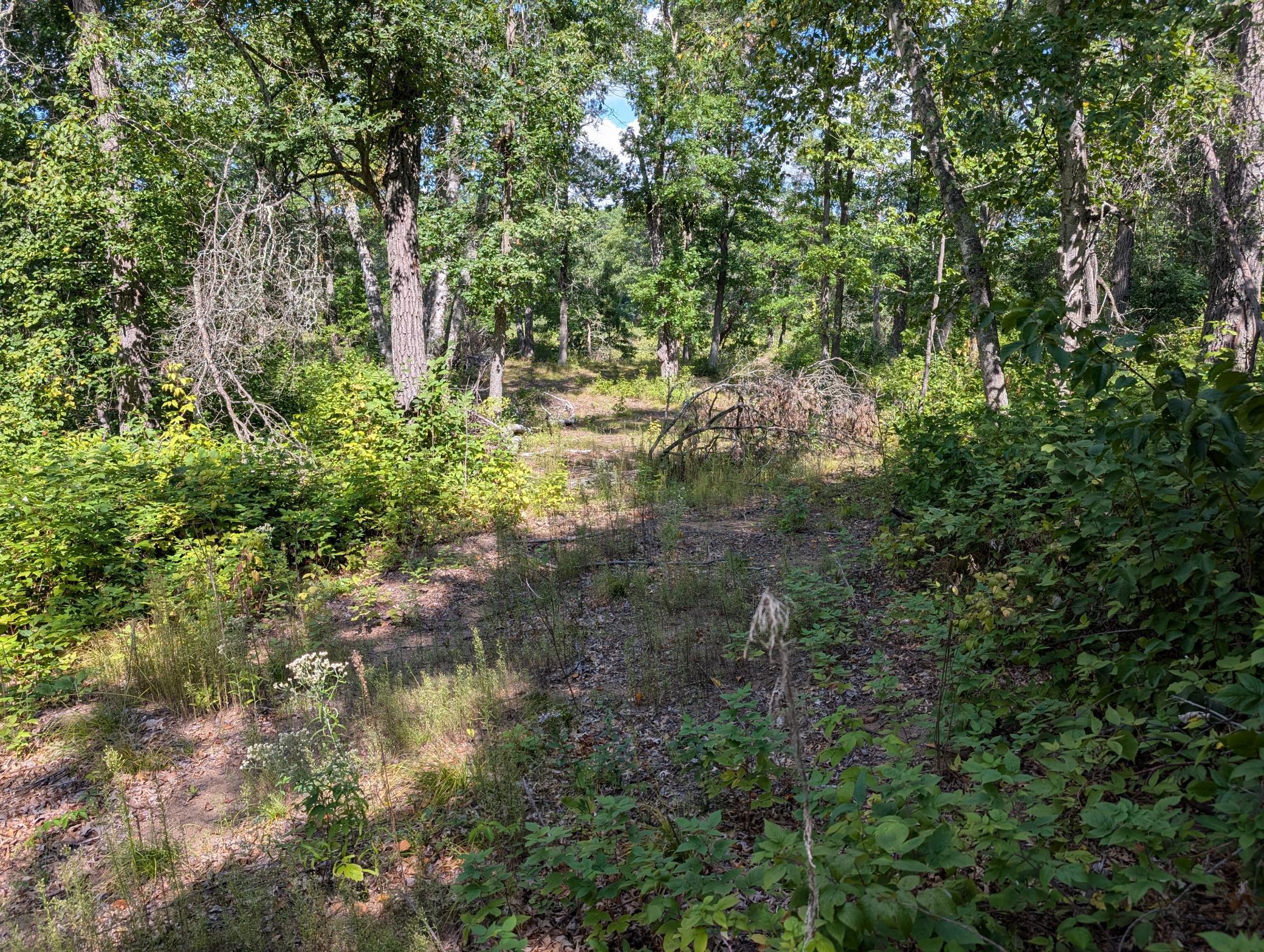 land for sale at Lot 9 block 1 Fawn Lake Road in Cross Lake, MN (photo 9 of 11)
