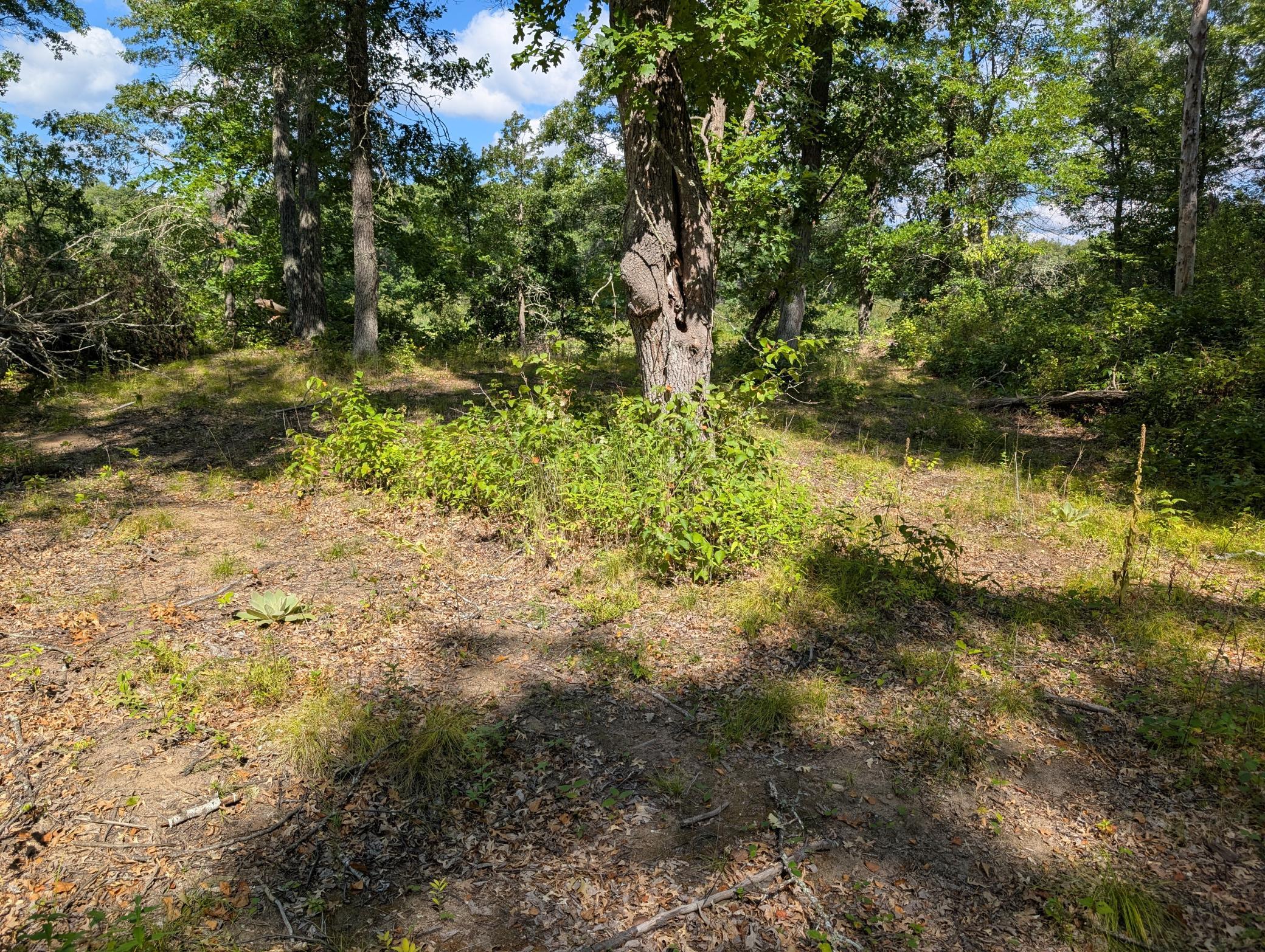 land for sale at Lot 9 block 1 Fawn Lake Road in Cross Lake, MN (photo 10 of 11)