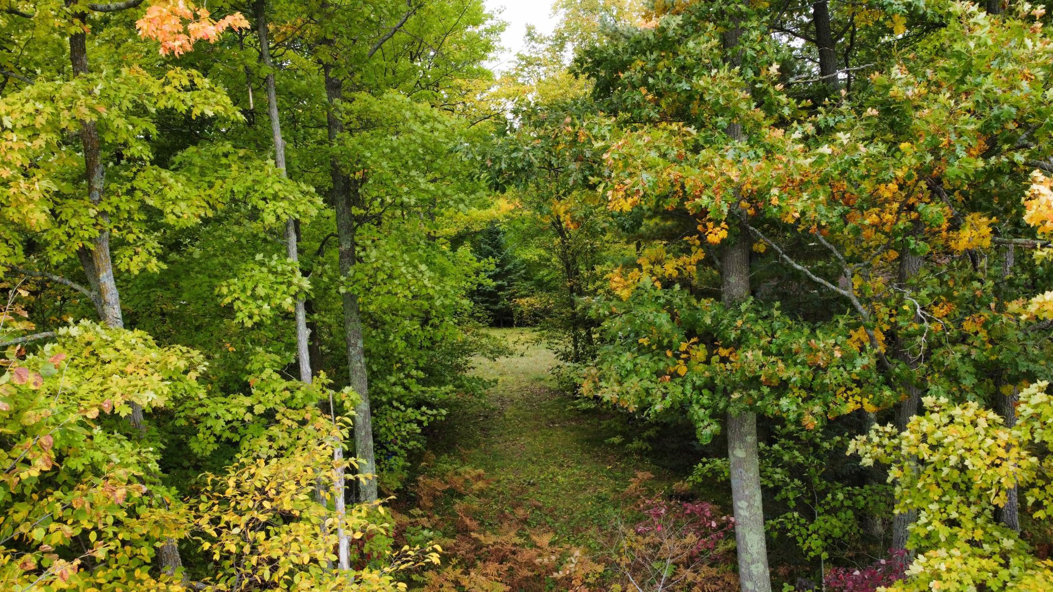 1977 single family home for sale at 23314 450th Avenue in Aitkin, MN — 3 bed, 1 bath (photo 6 of 50)