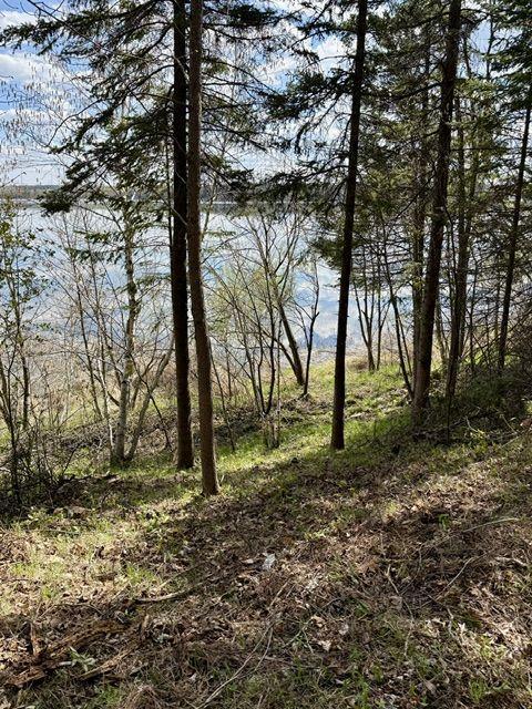 1979 single family home for sale at 37222 N Courage Dr (Lot 5) in Lake George, MN — 2 bed, 2 bath (photo 7 of 26)