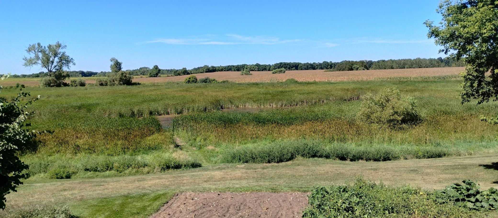 1900 single family home for sale at 29373 325th Street in Underwood, MN — 6 bed, 4 bath (photo 39 of 127)